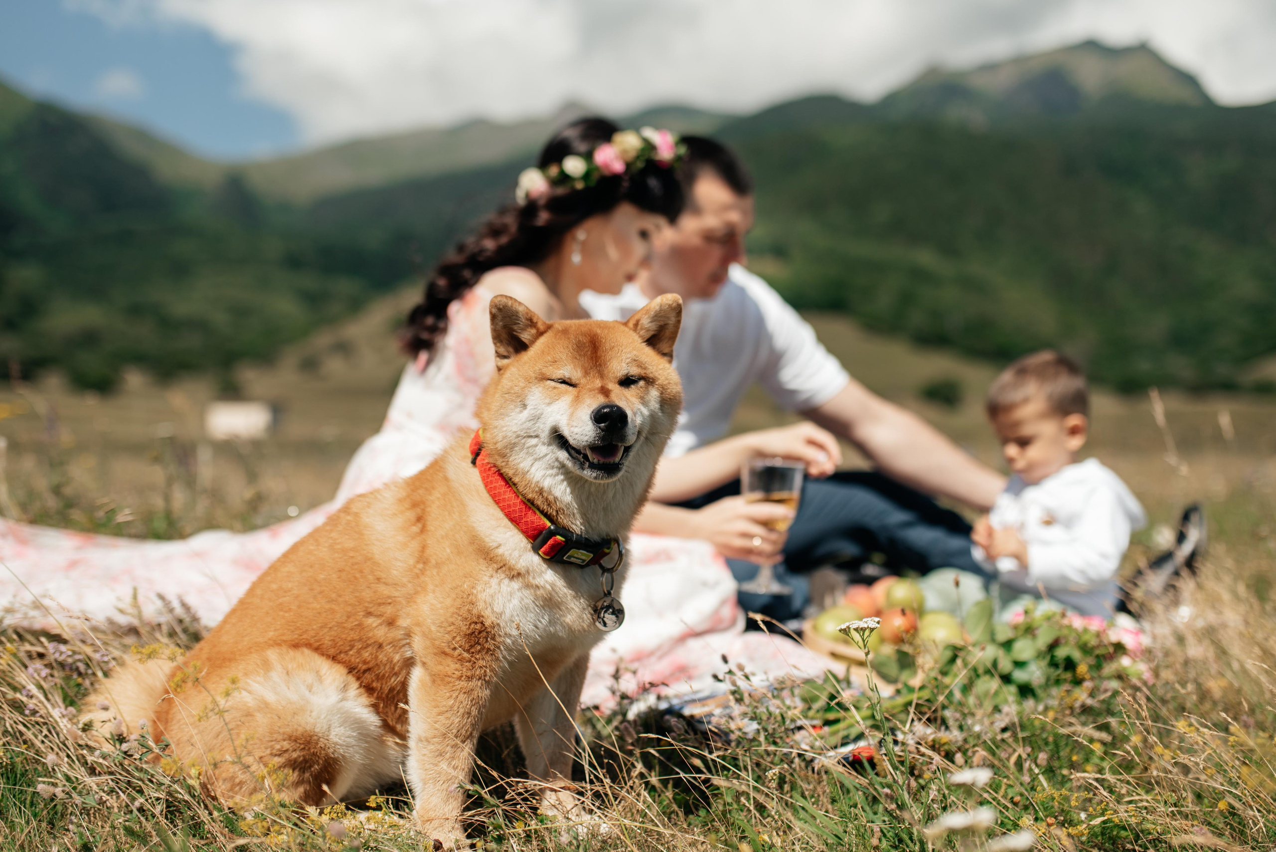 Свадьба Анжелики и Максима (Домбай). Свадебный и travel фотограф в Волгограде, Сочи, Домбае, Европе
