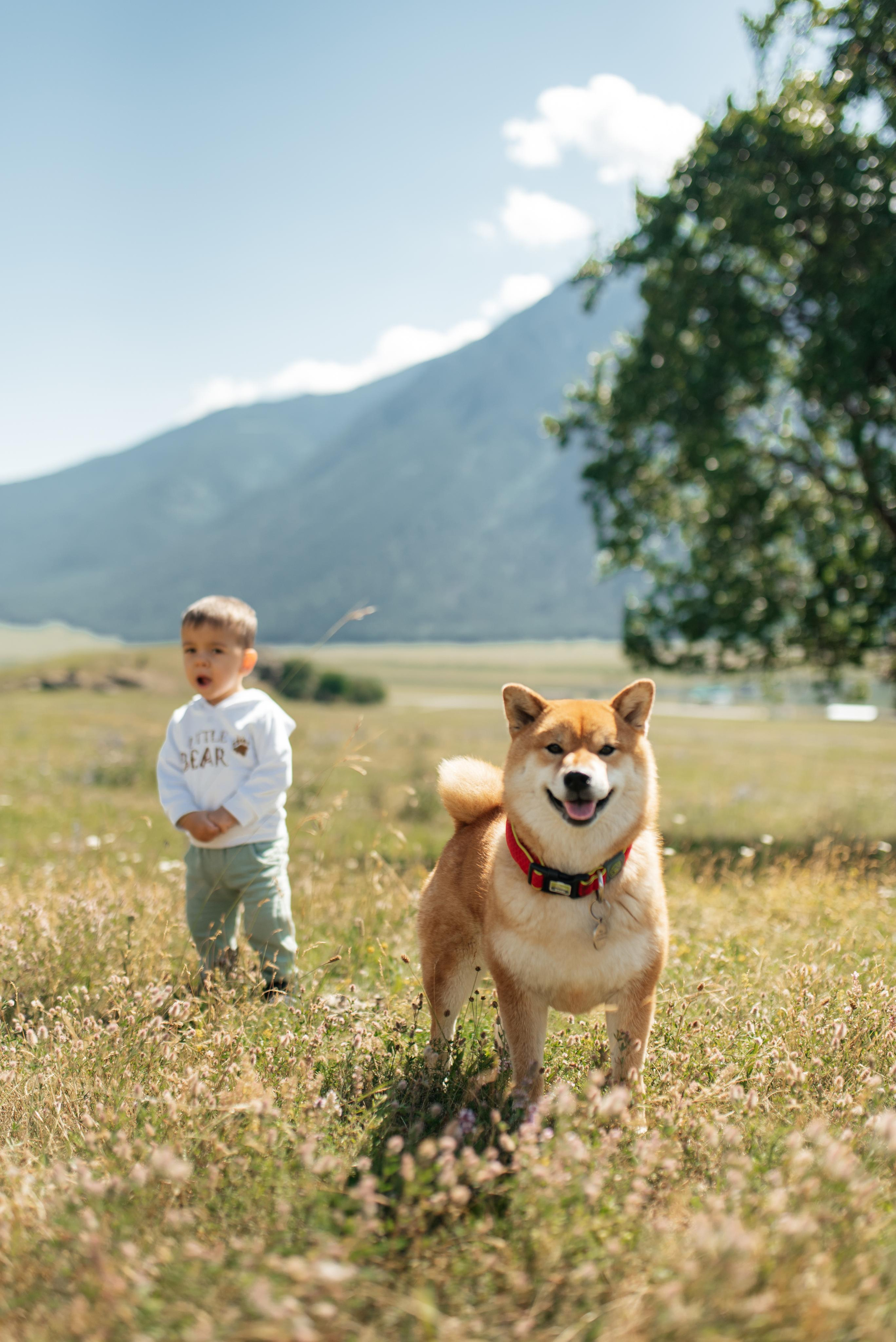 Свадьба Анжелики и Максима (Домбай). Свадебный и travel фотограф в Волгограде, Сочи, Домбае, Европе