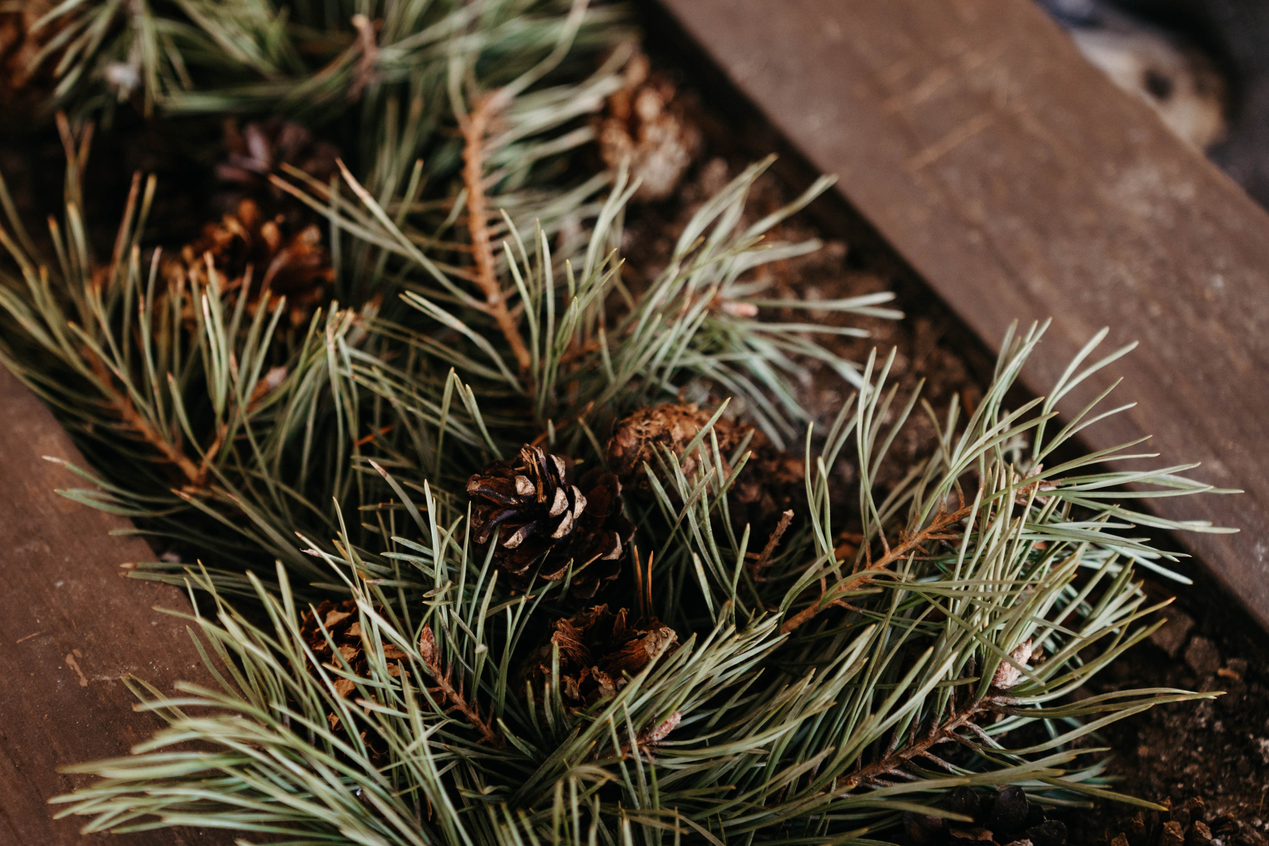 Междуречье|Экоотель. Фотограф Абакумова Анастасия