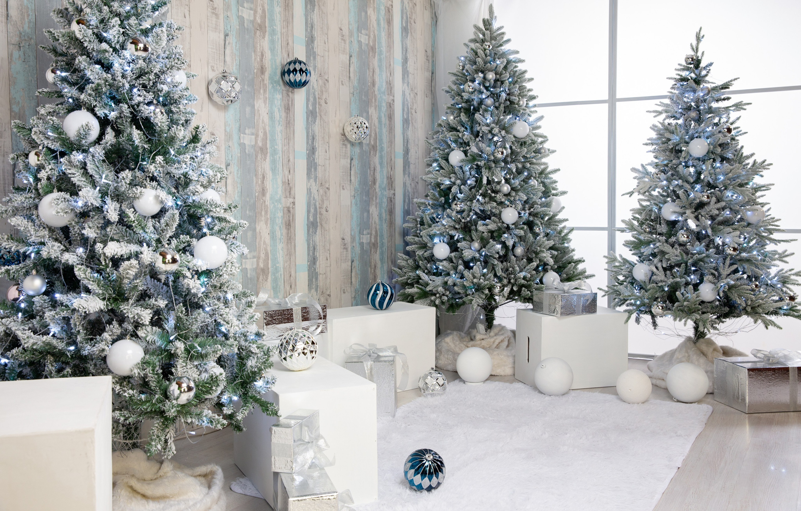 Лесная сказка. Фотостудия Алматы. Фотосъемка Алматы. Фотосессия Алматы. Фотокурсы. Обучение фотографии. Аренда студии