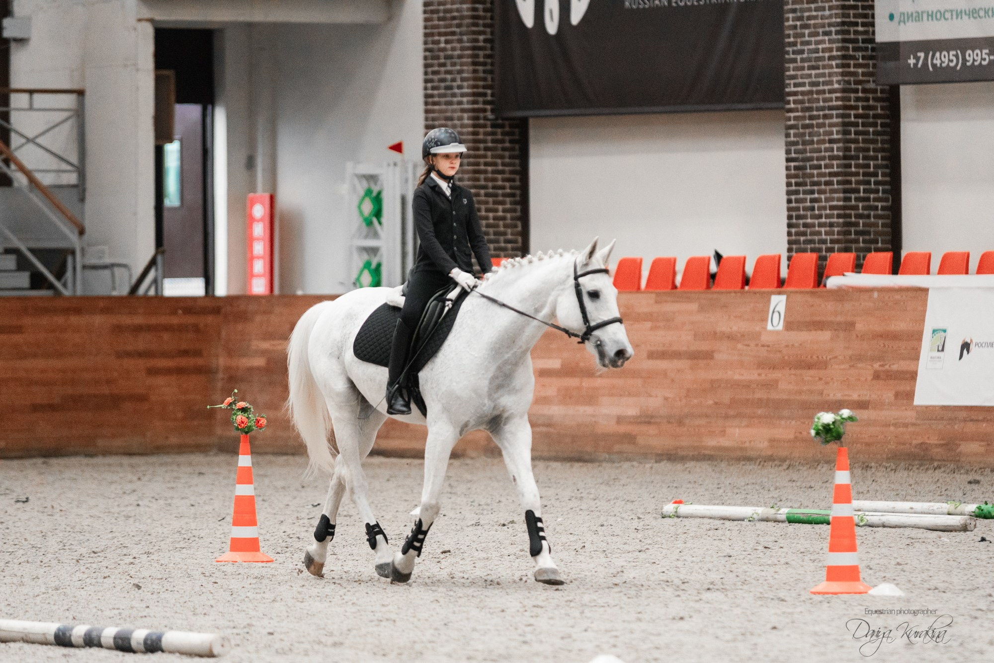 8-я международная выставка Конная Россия. Конный фотограф Куракина Дарья • Фотосессии с лошадьми