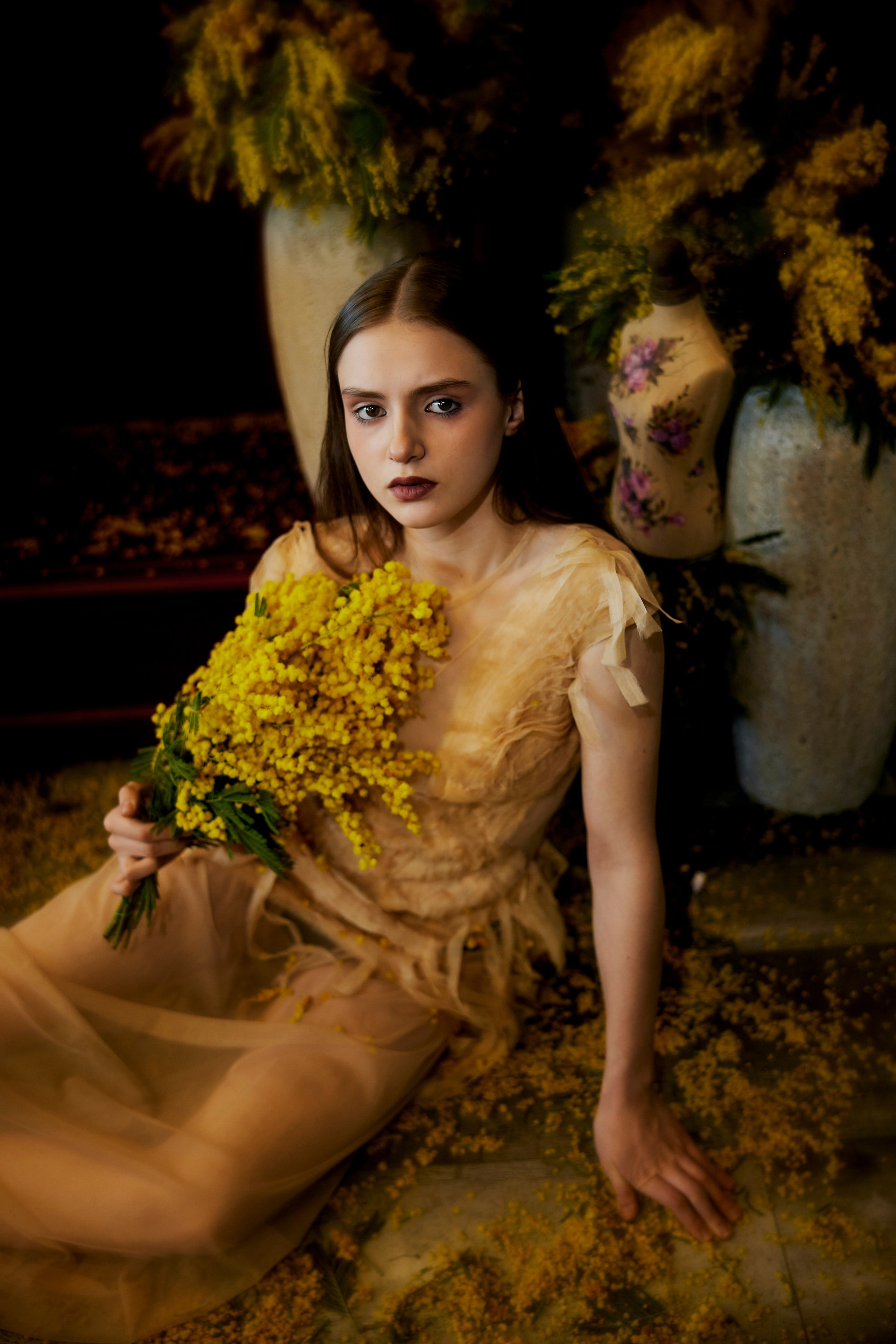 Мимоза. Сергей Ирклиенко