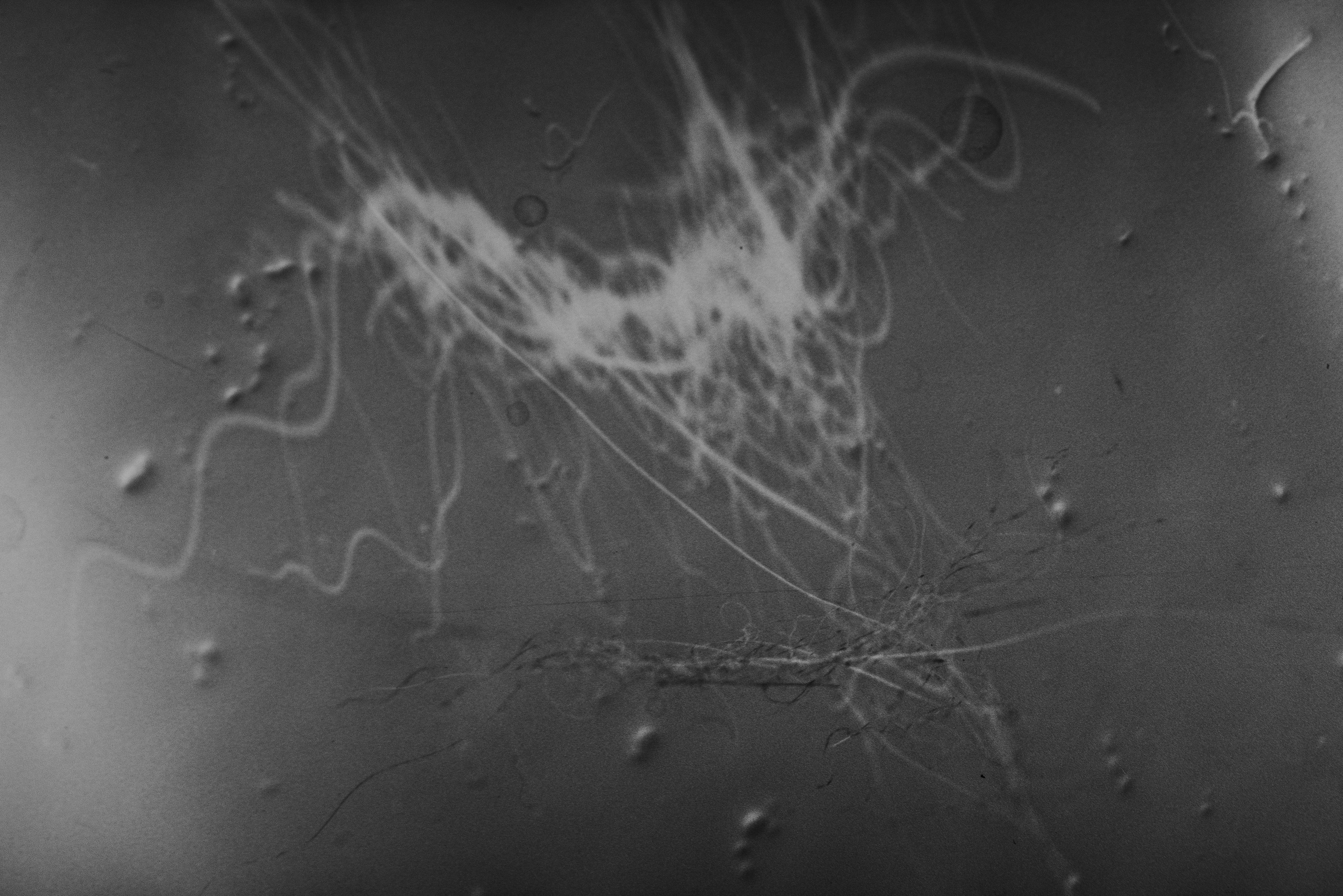 Traces. Veronika Verbitskaia | Contemporary Photographer | Dublin