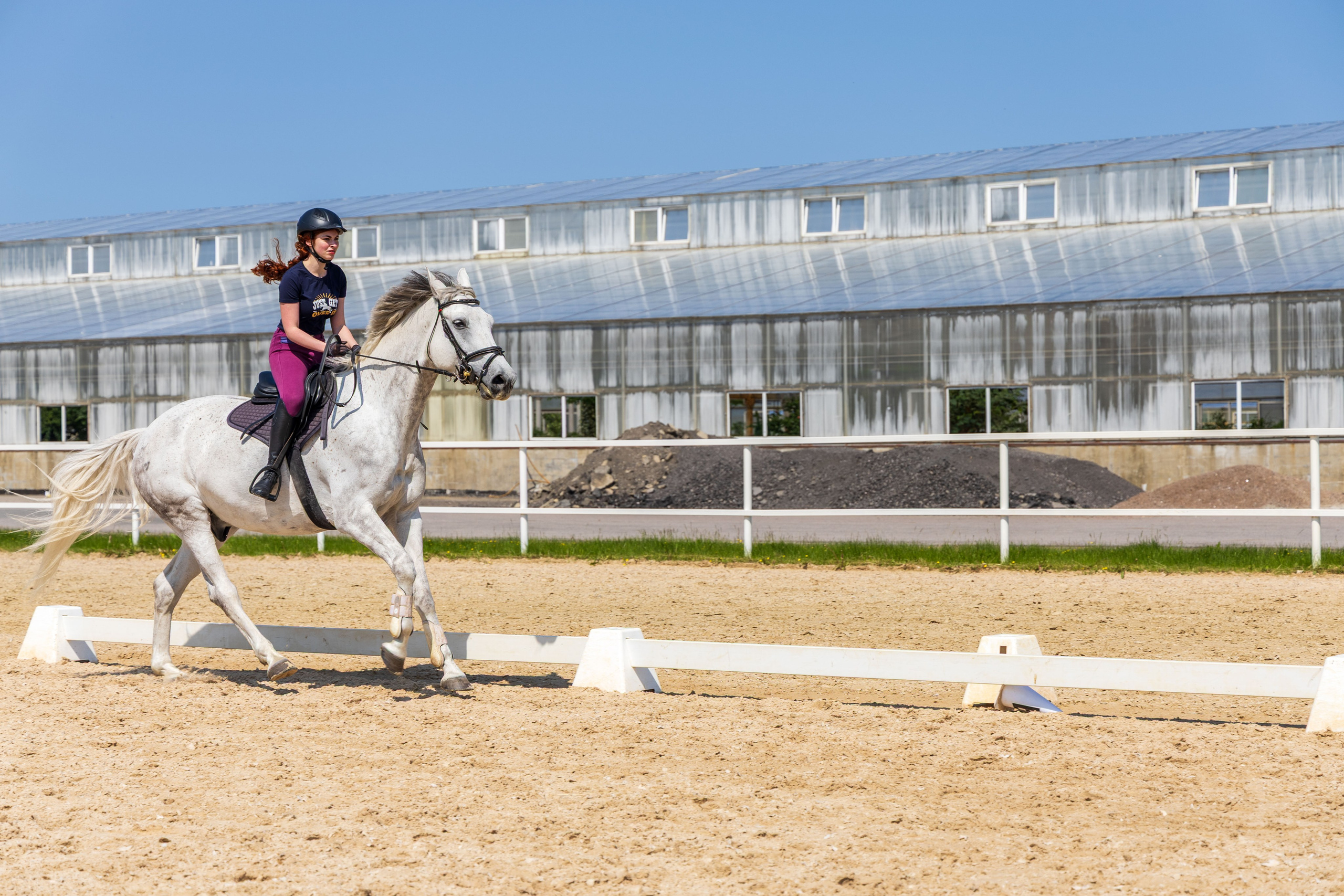 Репортаж.Конная тренировка. Портретный и семейный фотограф Санкт-Петербург