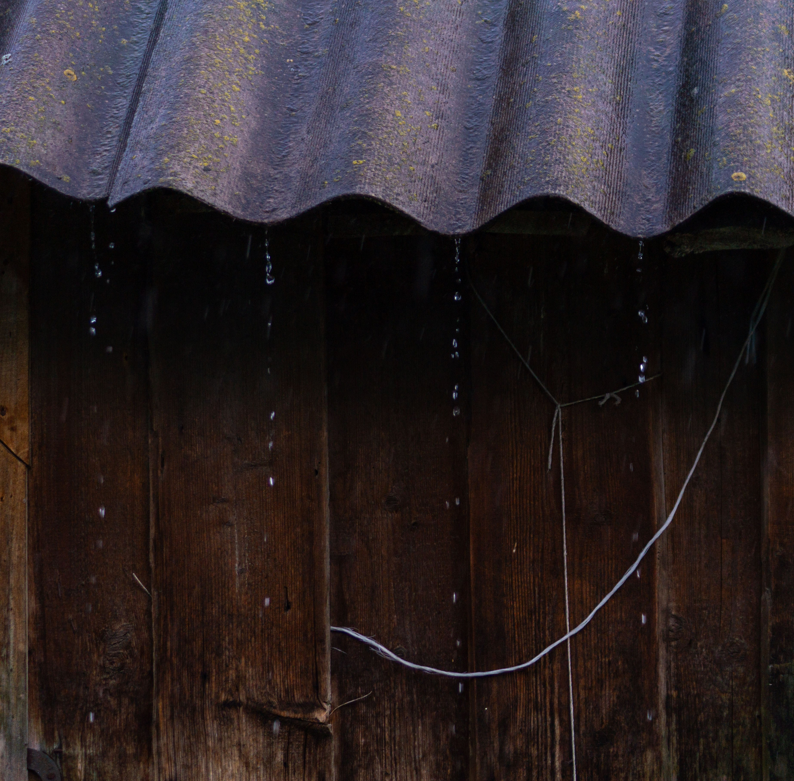 Г. Вятские Поляны лето 2025. Портретный и семейный фотограф Санкт-Петербург