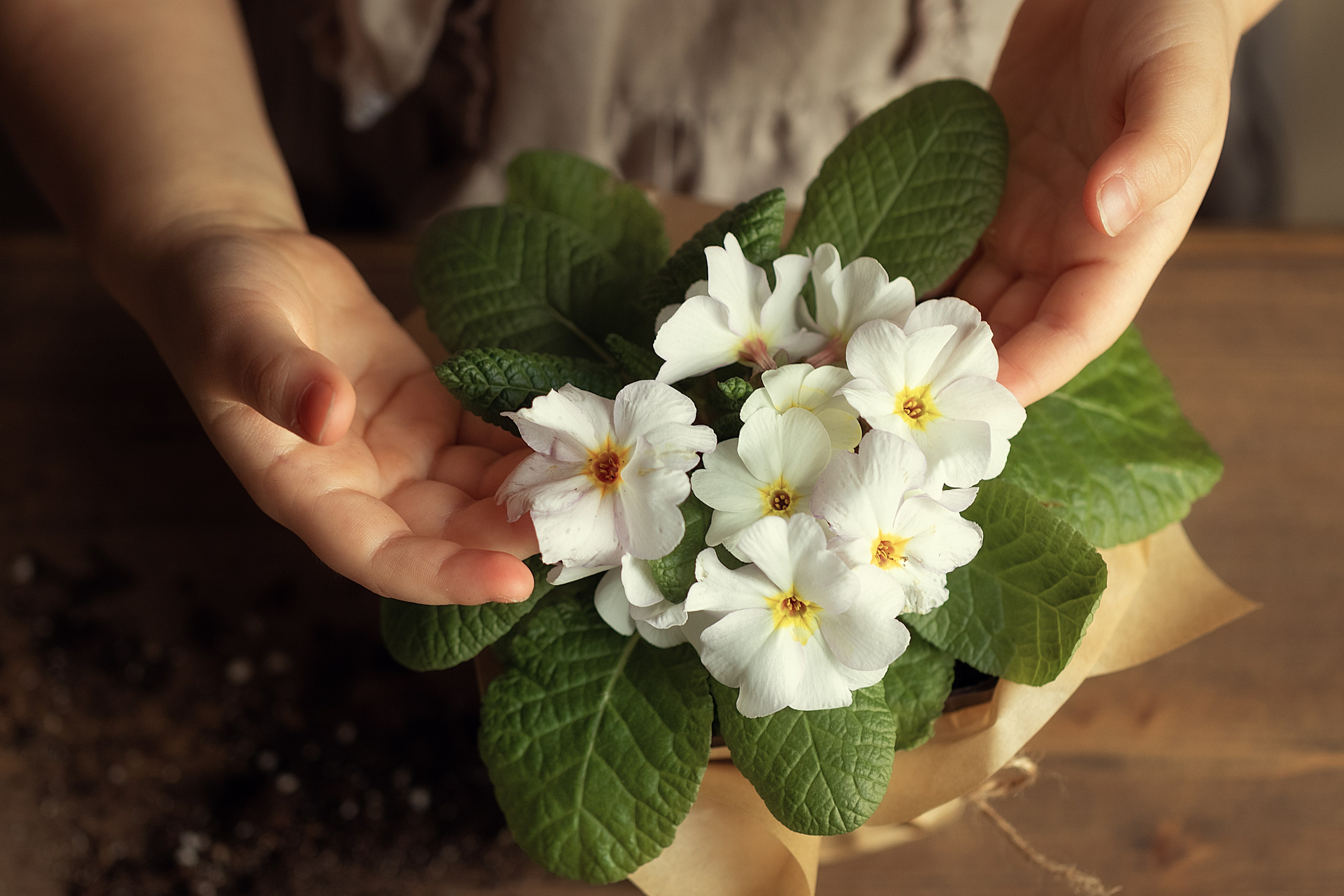 ПОРТФОЛИО. Детский и семейный фотограф в Калининграде Надежда Гриднева