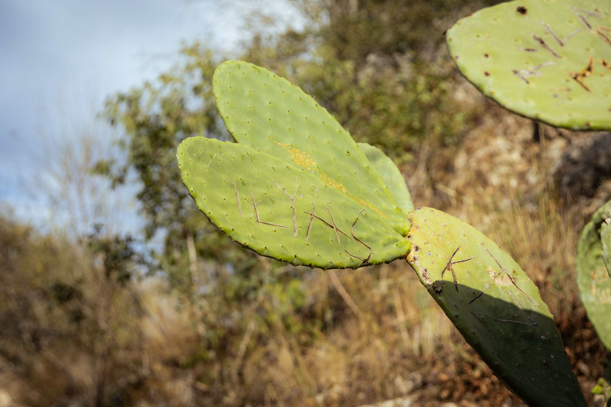 Турция (осень 2023). Фотограф Виноградов Константин