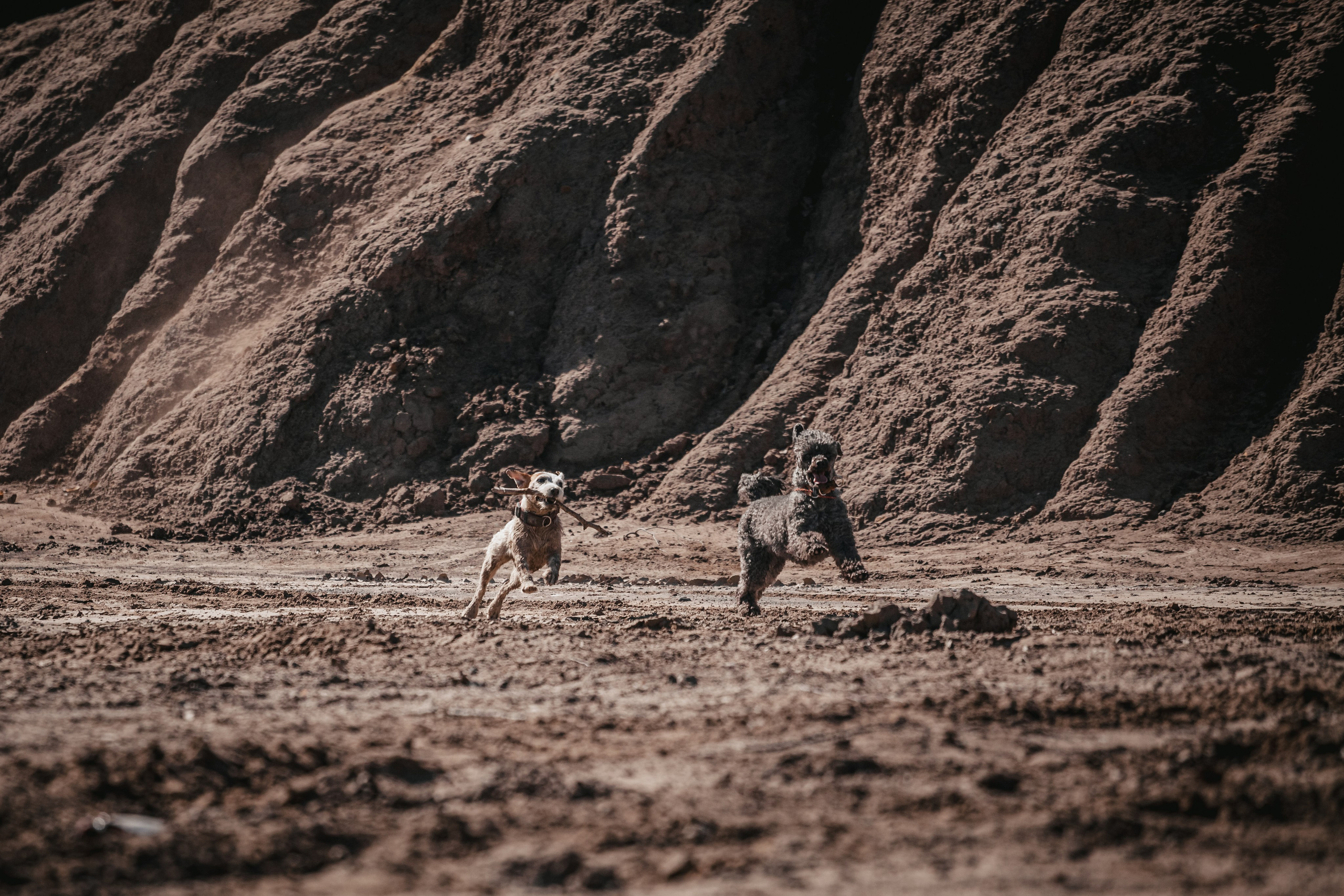 Кондуки. Фотограф-анималист Татьяна Степанова
