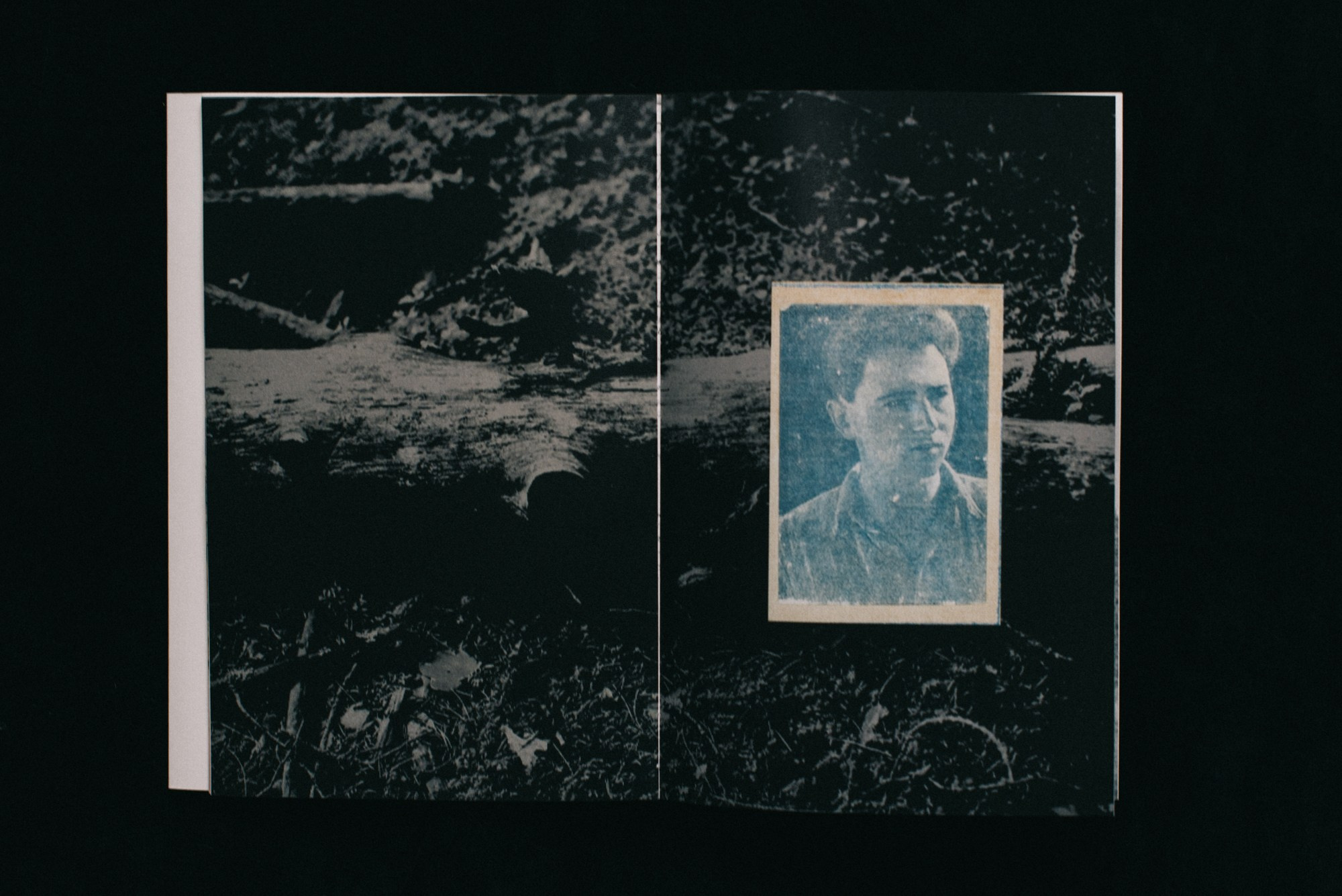 Цифровые тени слов. Художница Юлия Павлова