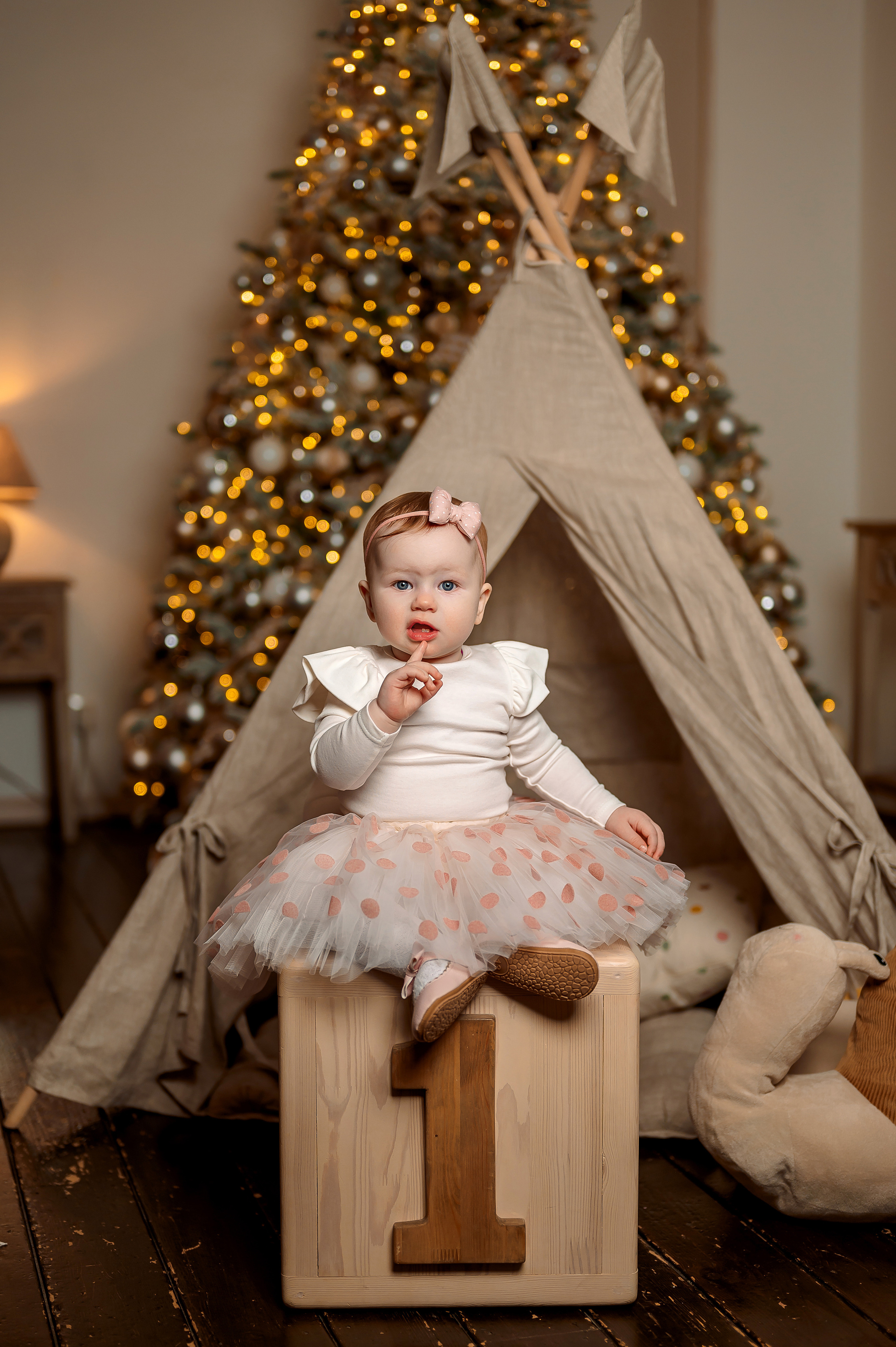 Новогодние съемки. Фотограф г. Пенза — Светлана Зойкина