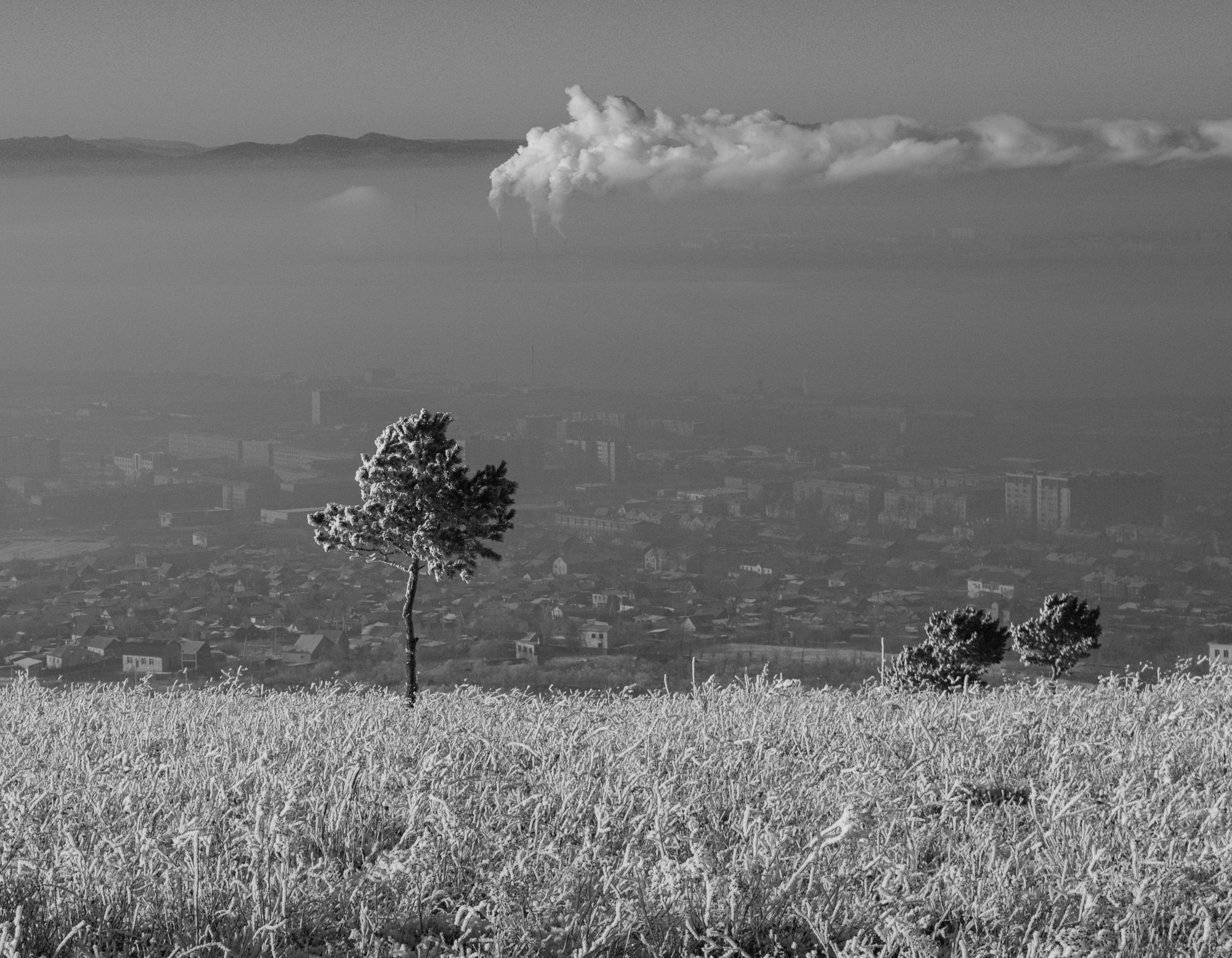 Разное. Репортажный фотограф г. Чита
