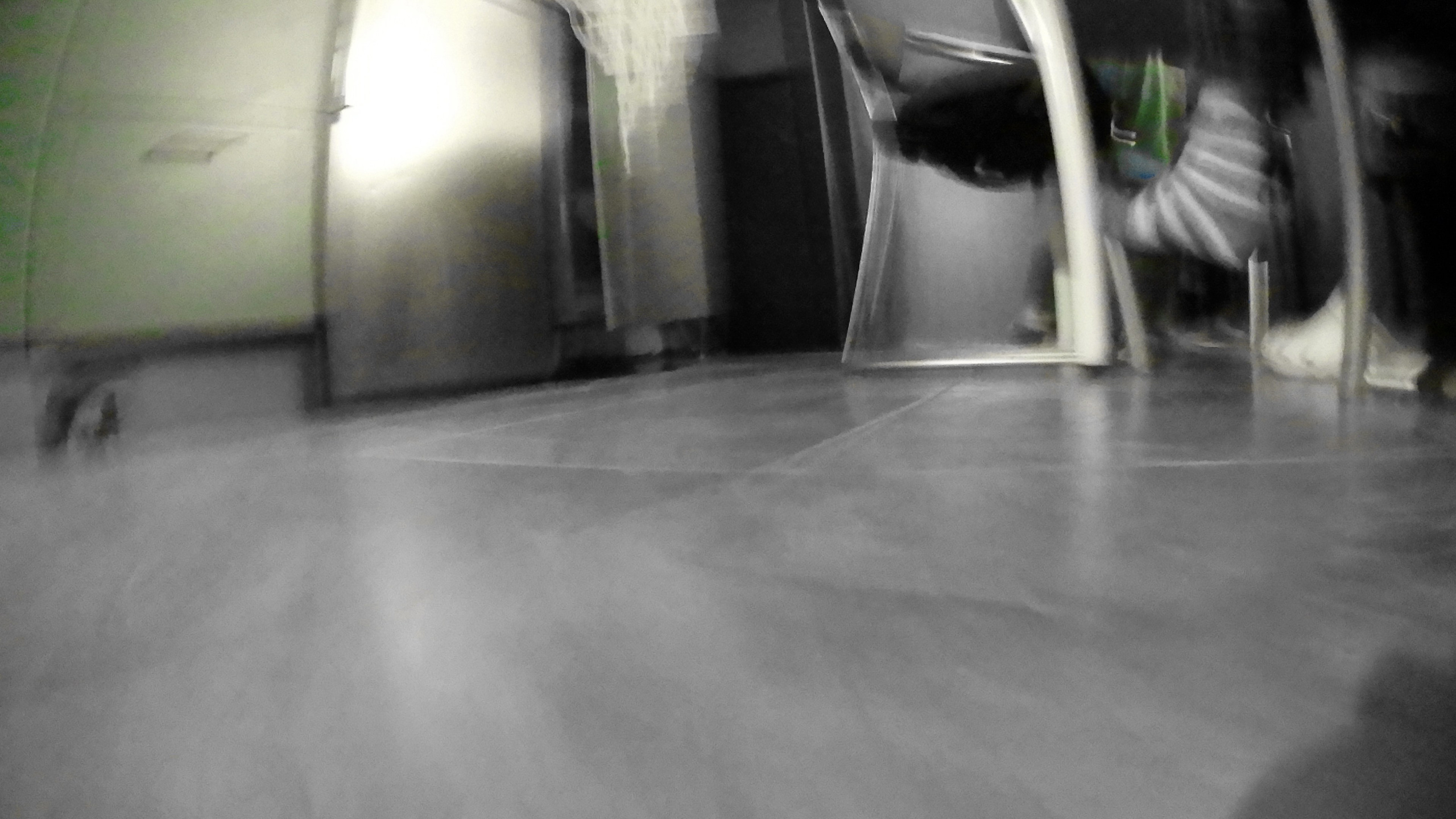 Гости. Fedor Kalinin