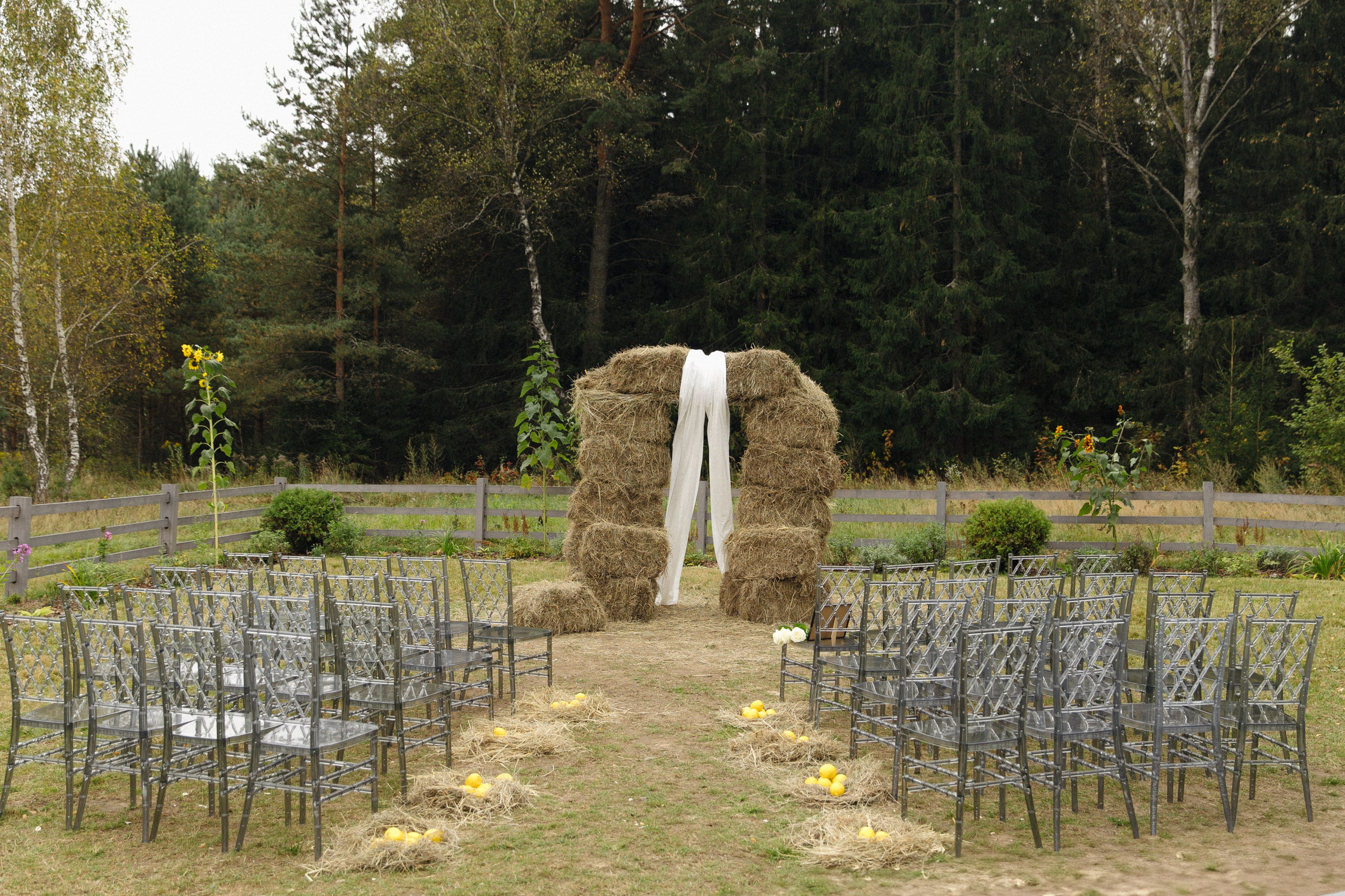 V & D. Свадебный фотограф Екатерина Садчикова