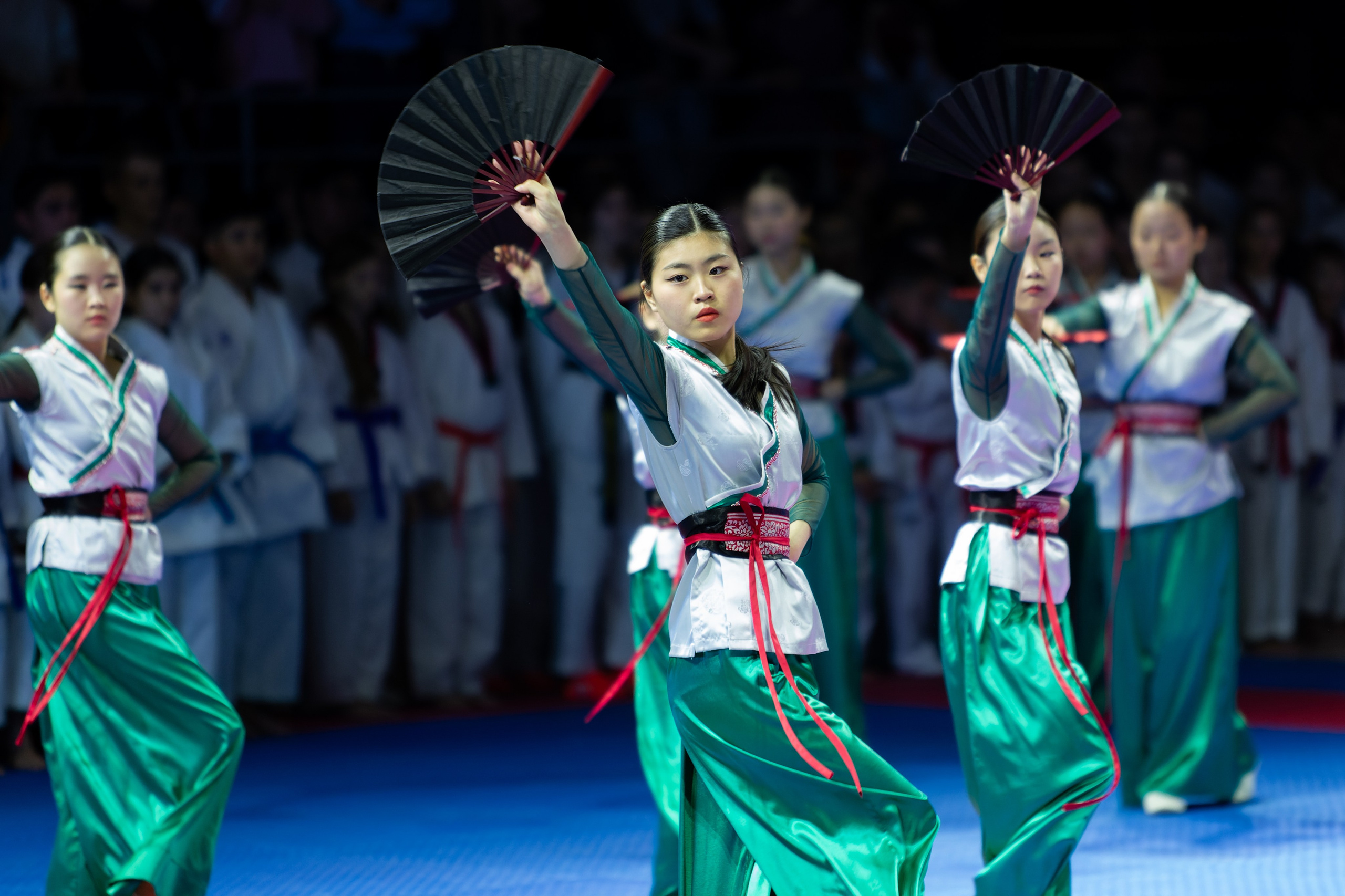 Дальневосточный фестиваль восточных единоборств. Кутузов Евгений Фотограф в Южно-Сахалинске