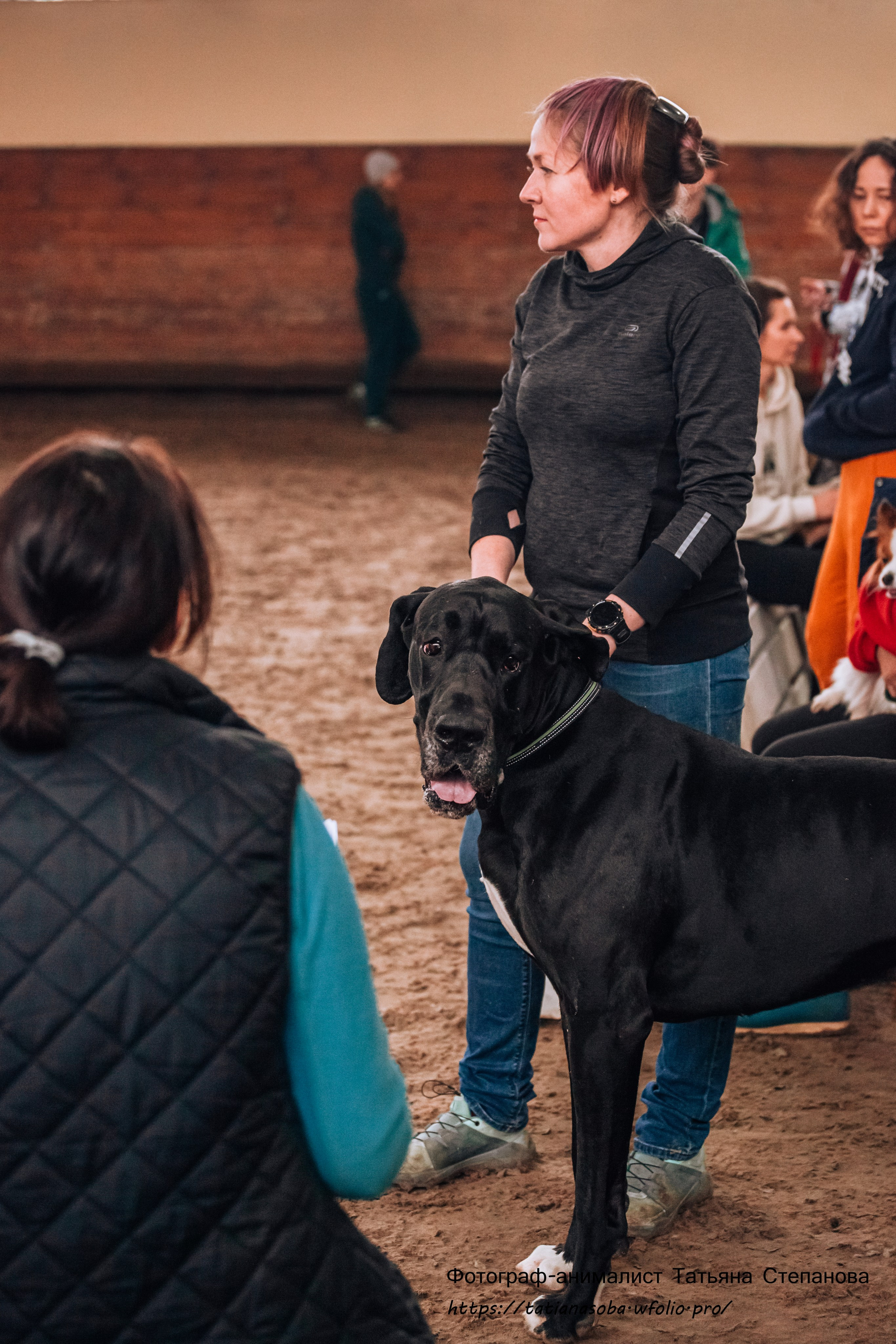 Соревнования по Аджилити 25.02.2024. Фотограф-анималист Татьяна Степанова