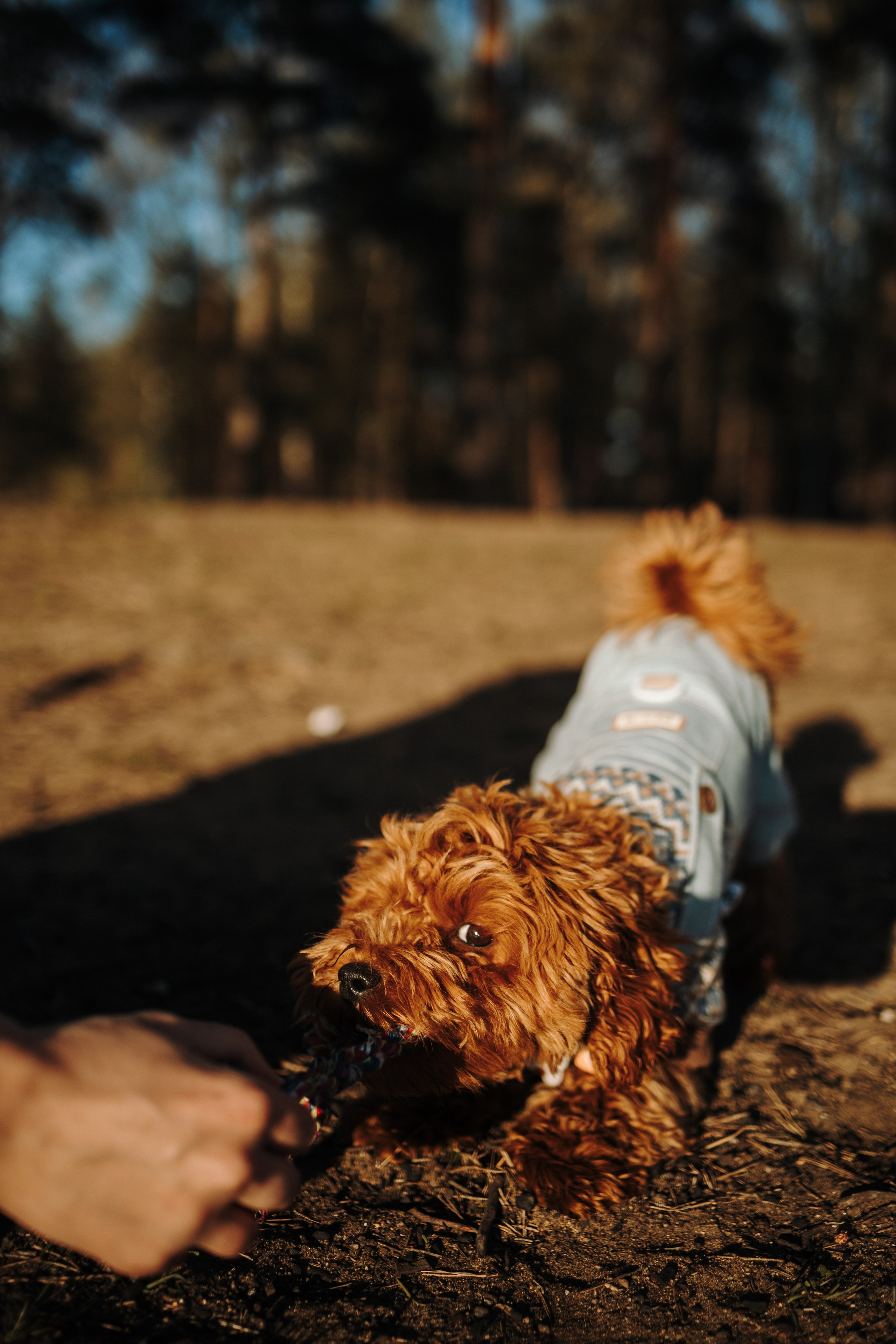 Настя & Коржик. Семейный фотограф Питер •love-story•|Санкт-Петербург