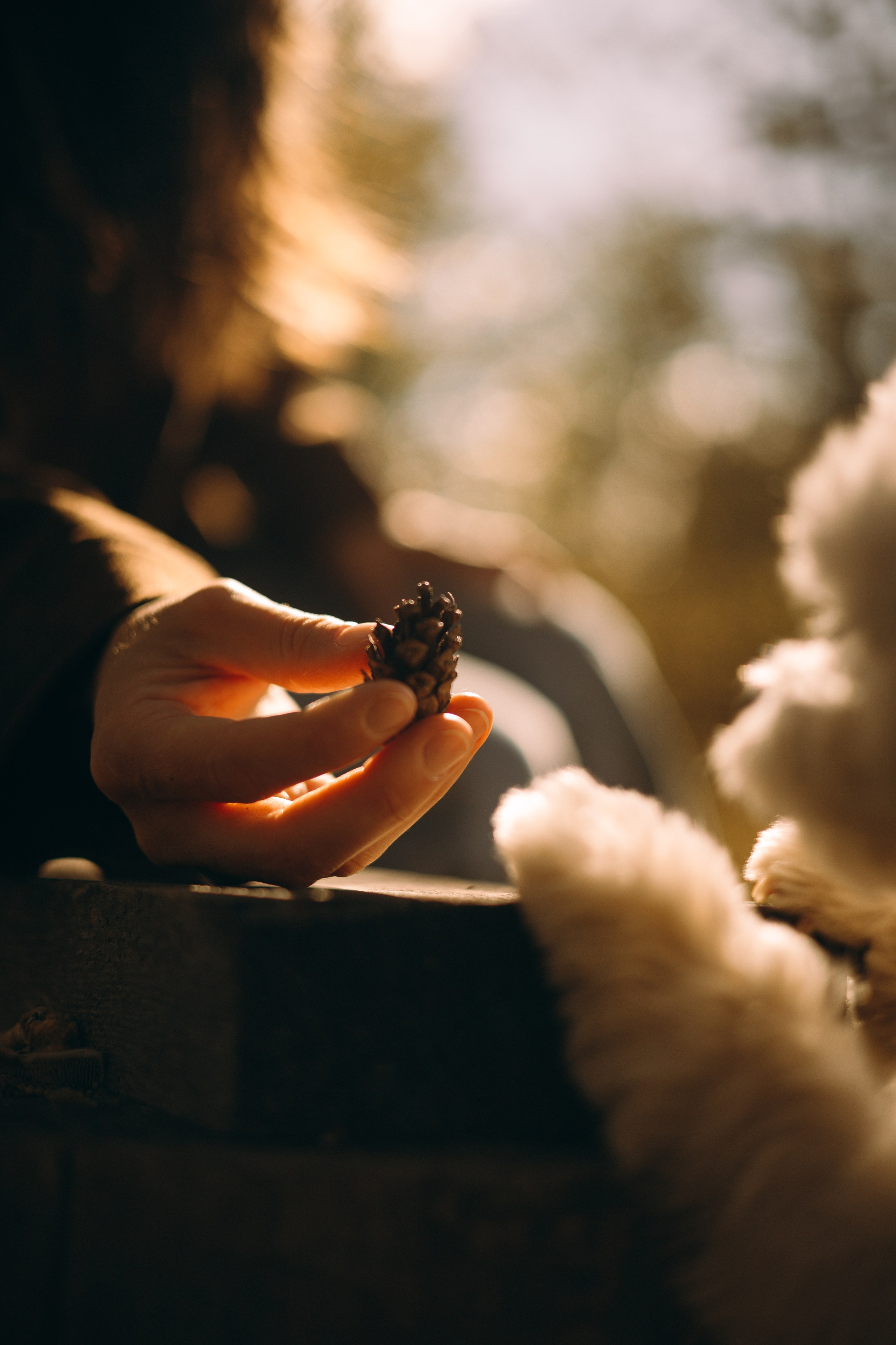 Любовь & Белла. Фотограф — анималист •love-story•|Санкт-Петербург