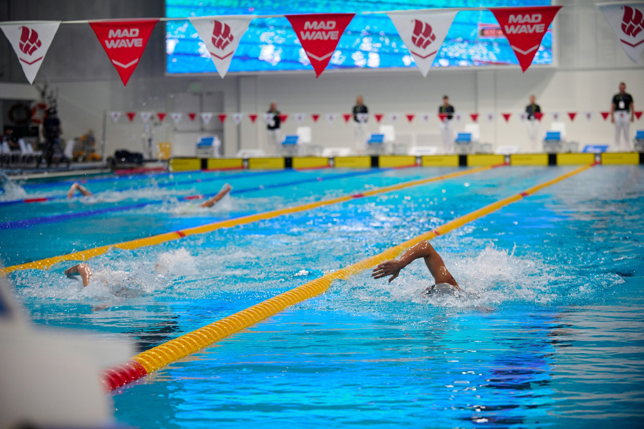 Кубок России по плаванию 2024 г. Екатеринбург. Мезенцев Евгений фотограф