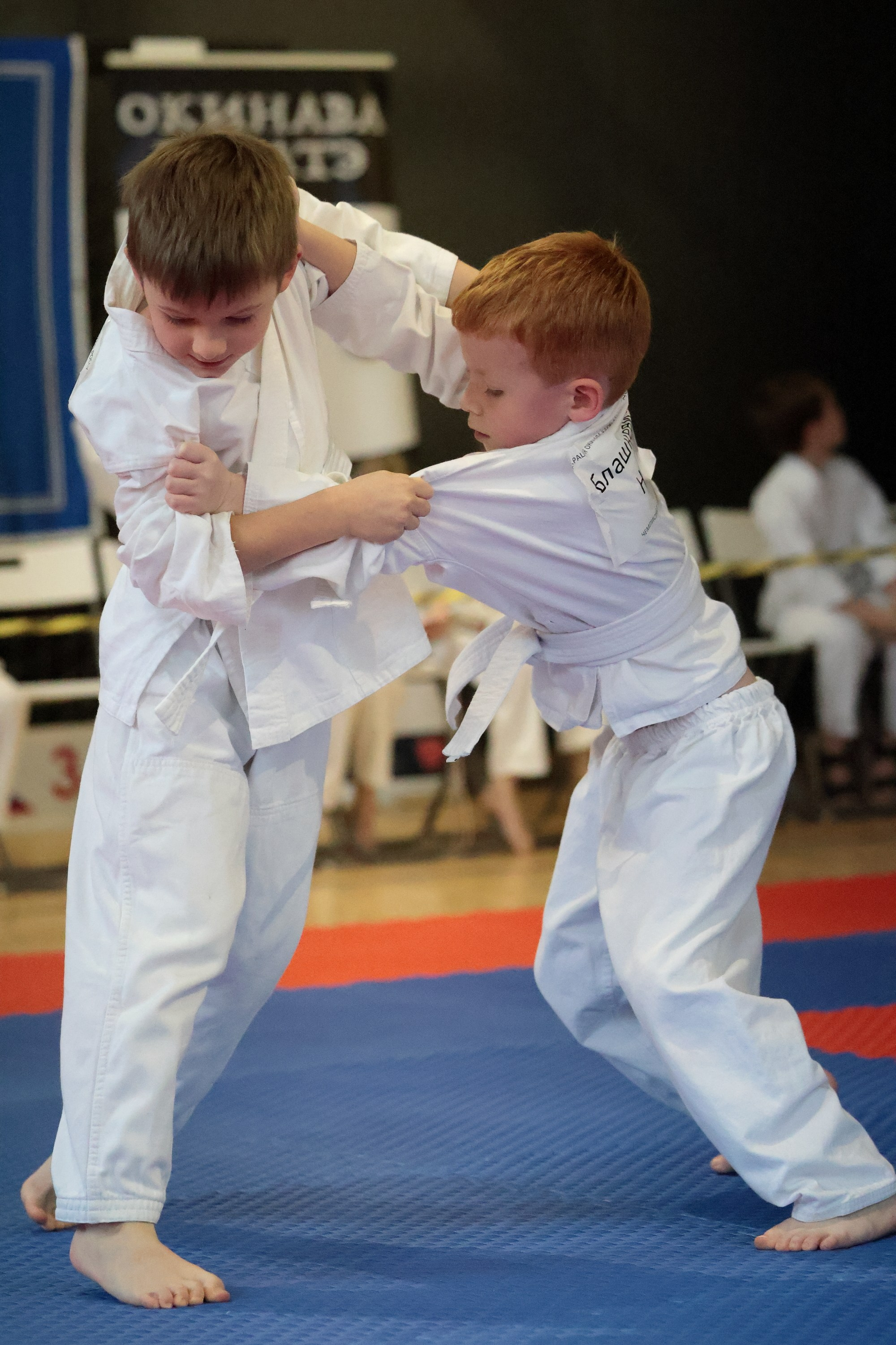 ЧЕМПИОНАТ ПО ОКИНАВА КАРАТЭ (ТЭГУМИ). Спортивный и репортажный фотограф Ермакова Светлана