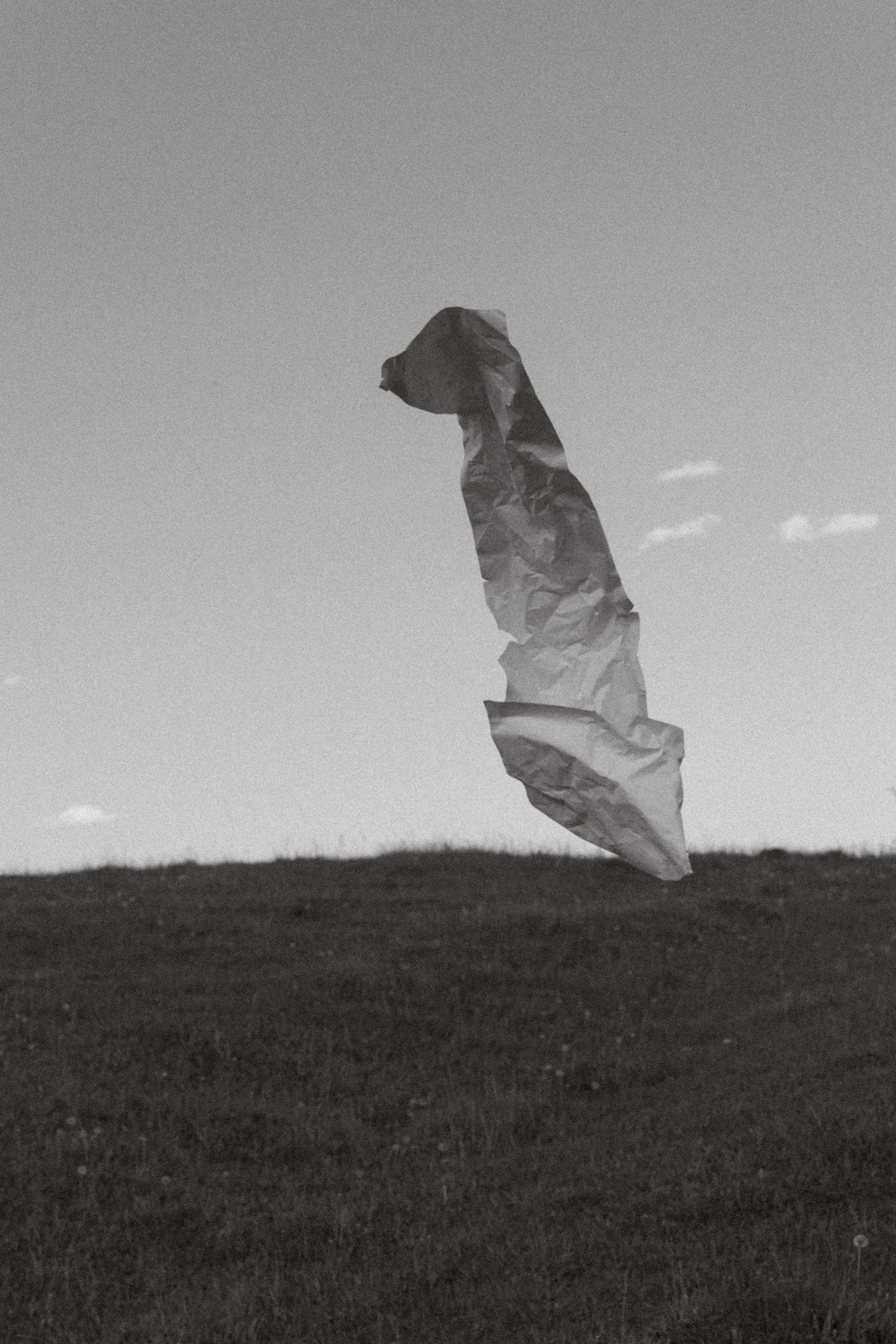 Paradox. Свадебный фотограф Колесников Антон