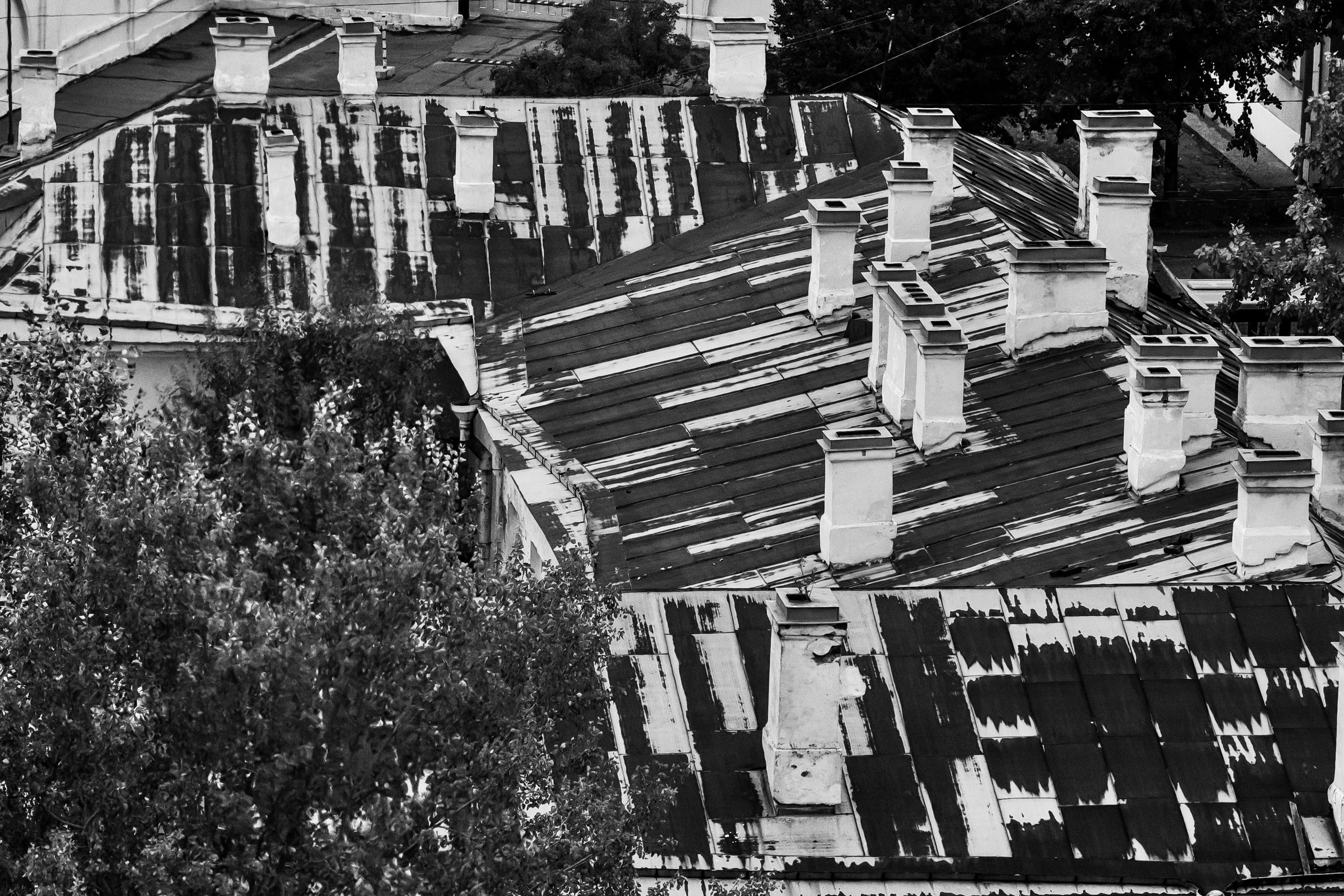 Dimitri Bakhtadze, black and white photos. Dimitri Bakhtadze photographer