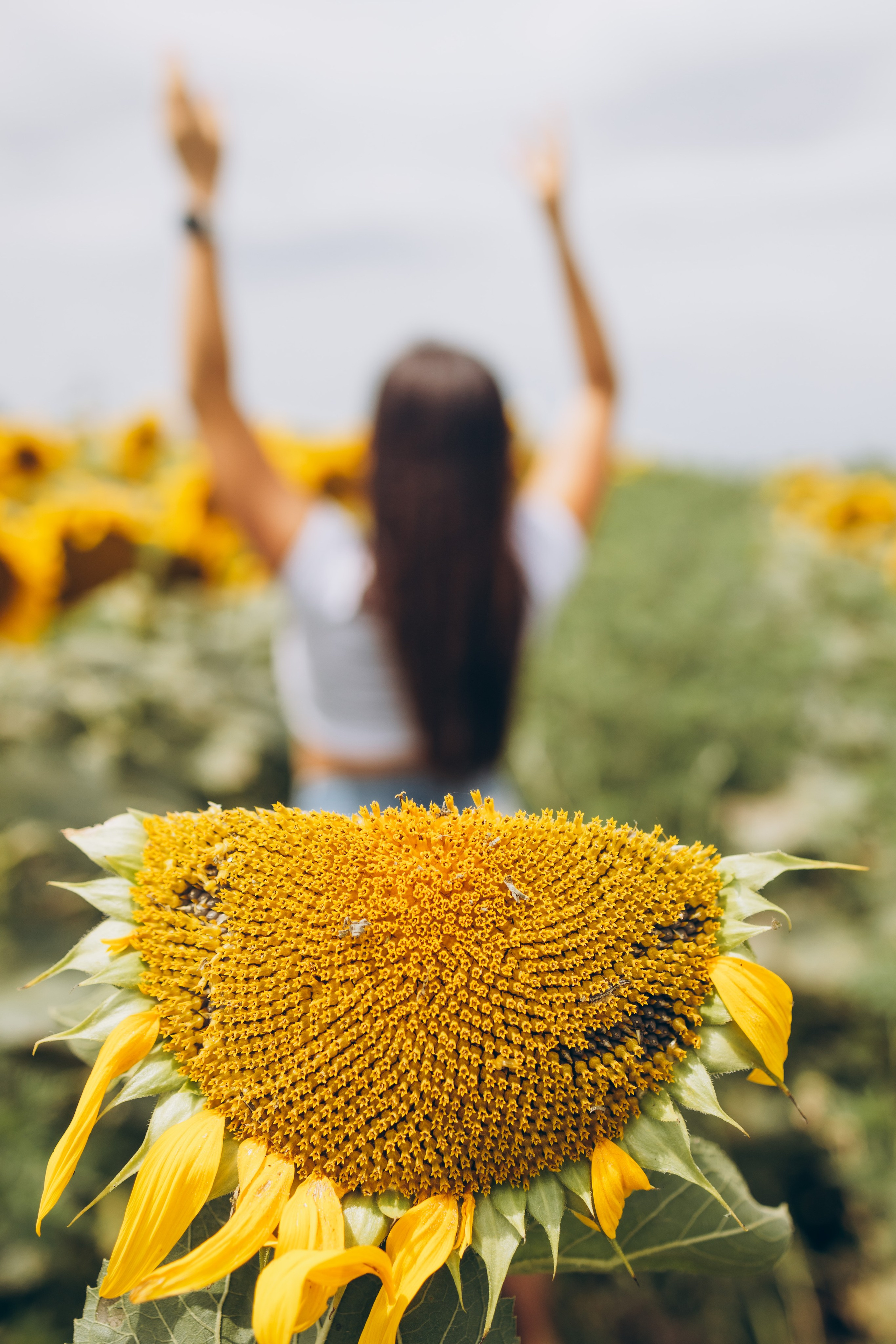 Лето. Профессиональный фотограф и видеооператор