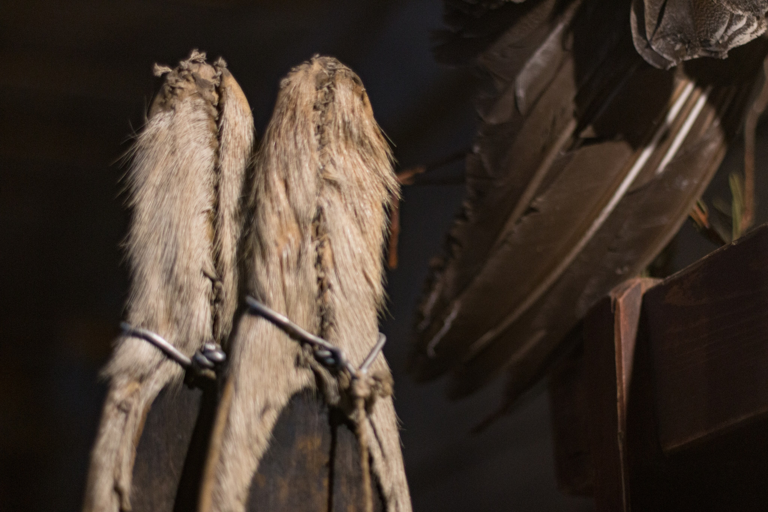 Русский Север, Малые карелы. Фотограф в Сочи