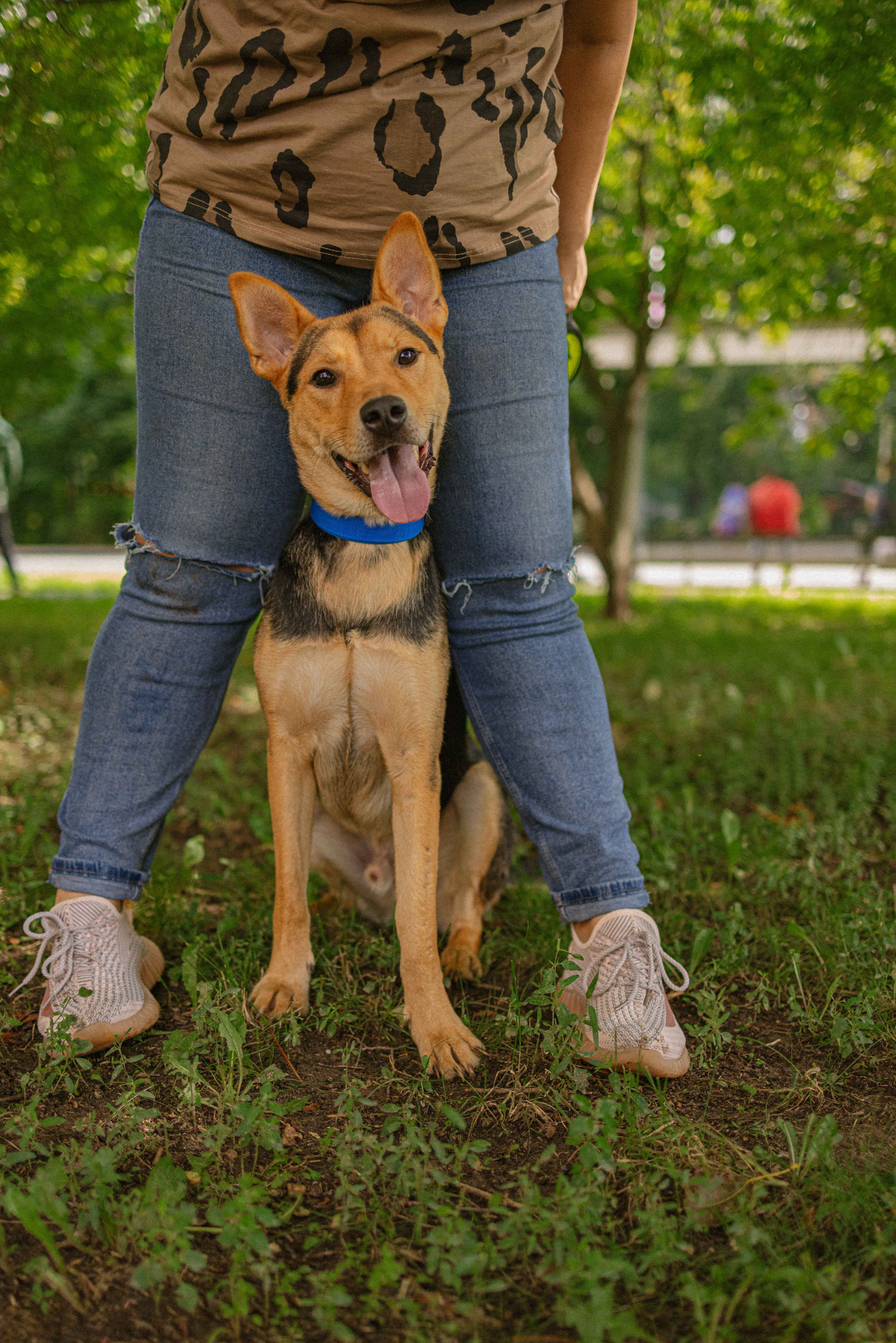 Джеки. Фотограф-анималист в Москве Лера Черноног