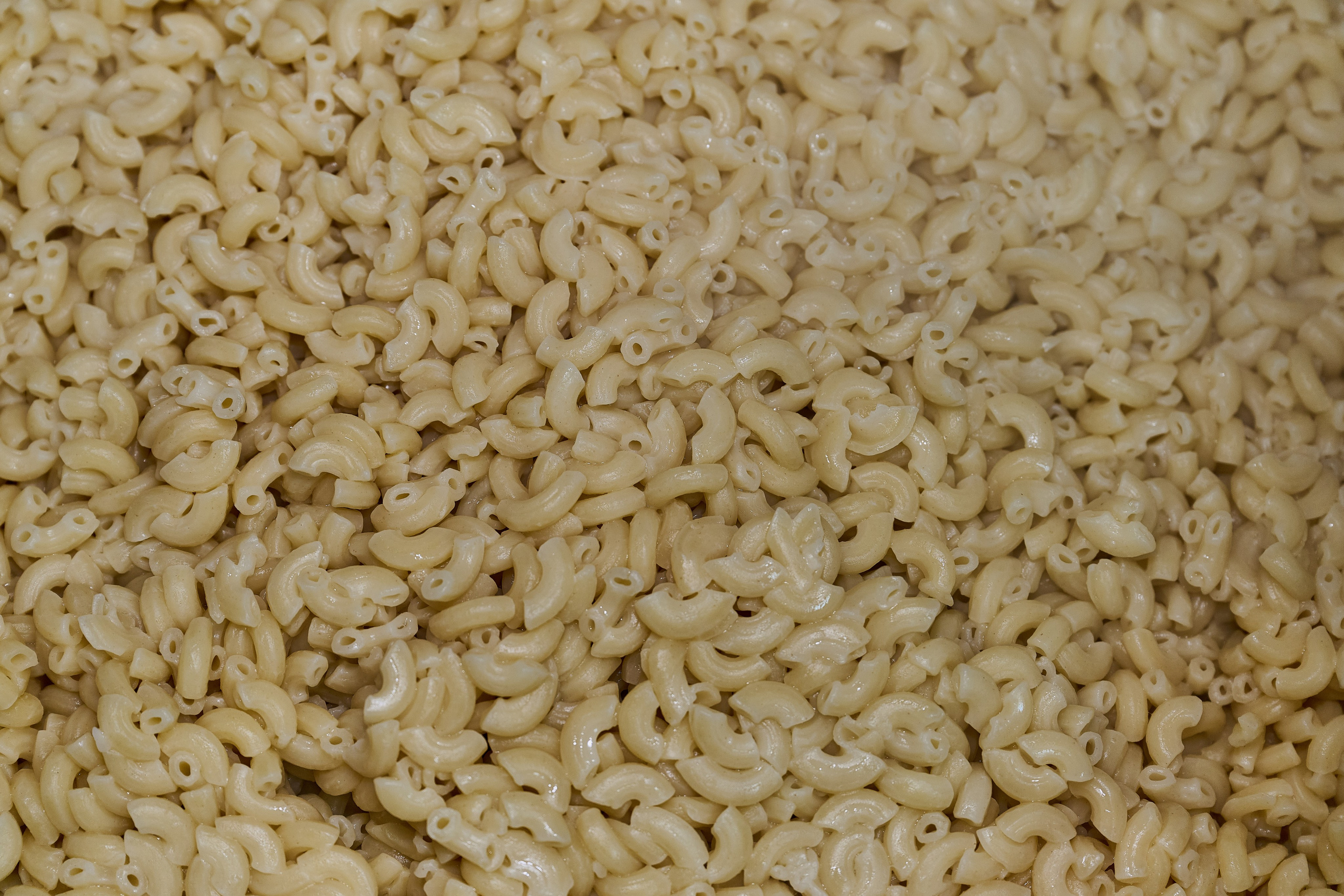 Съемки для фотопроекта Территории. Фотограф Роман Адлер