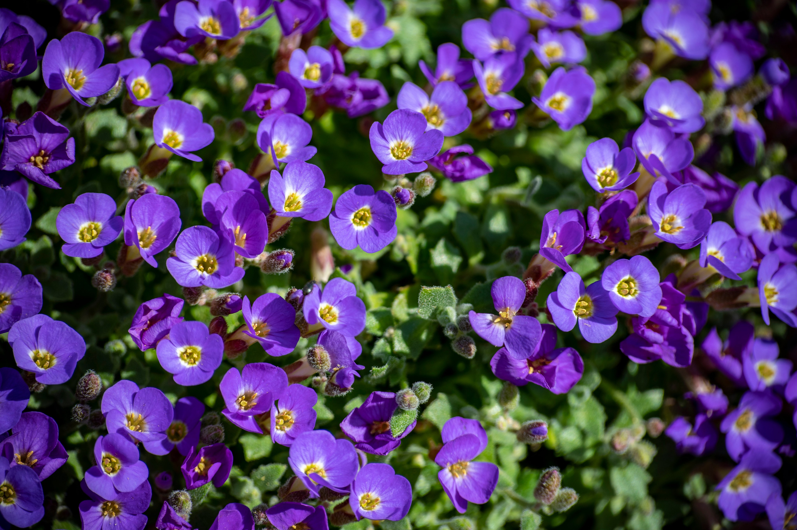 Муром. Май 2022. Фотограф Роман Адлер