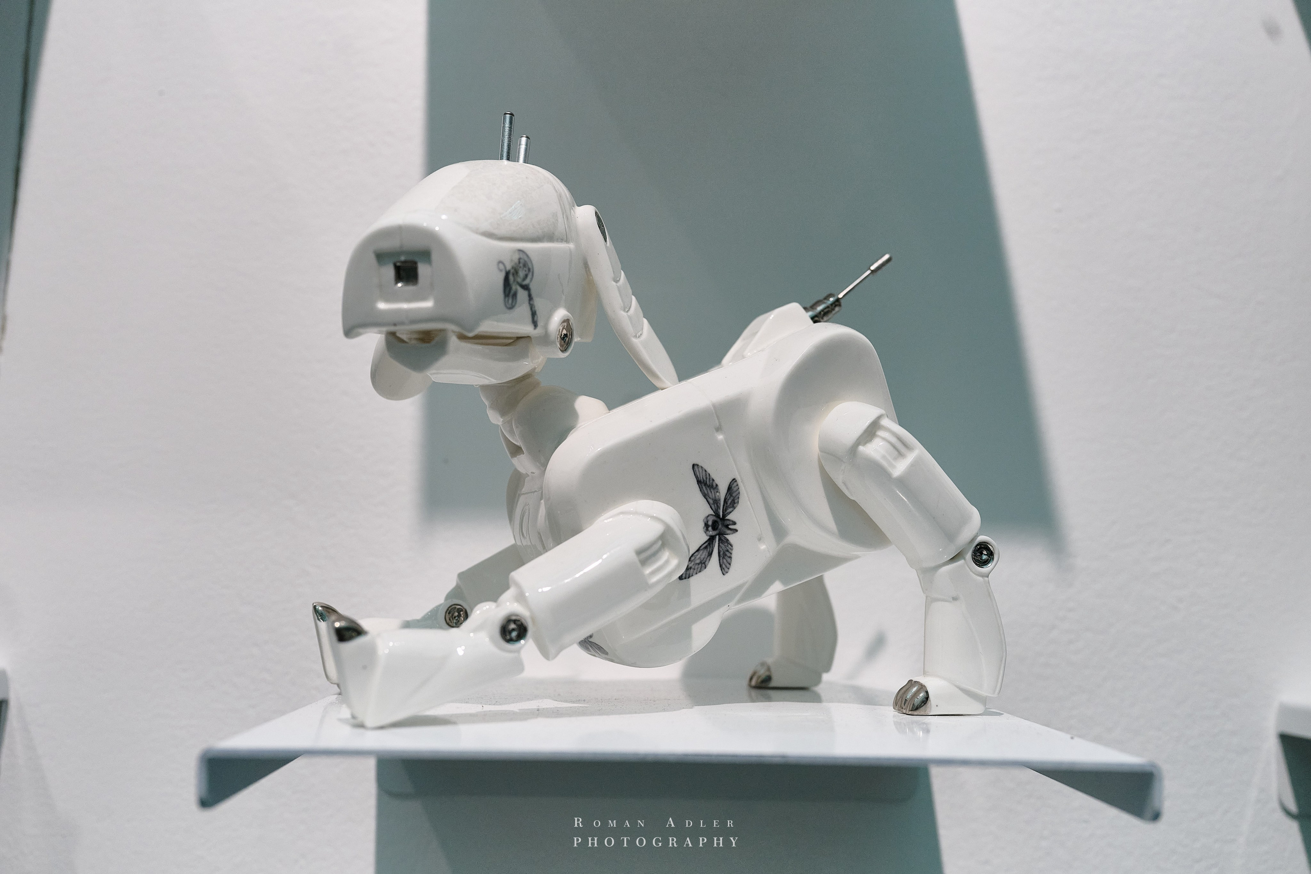 ART RUSSIA 2025. Фотограф Роман Адлер