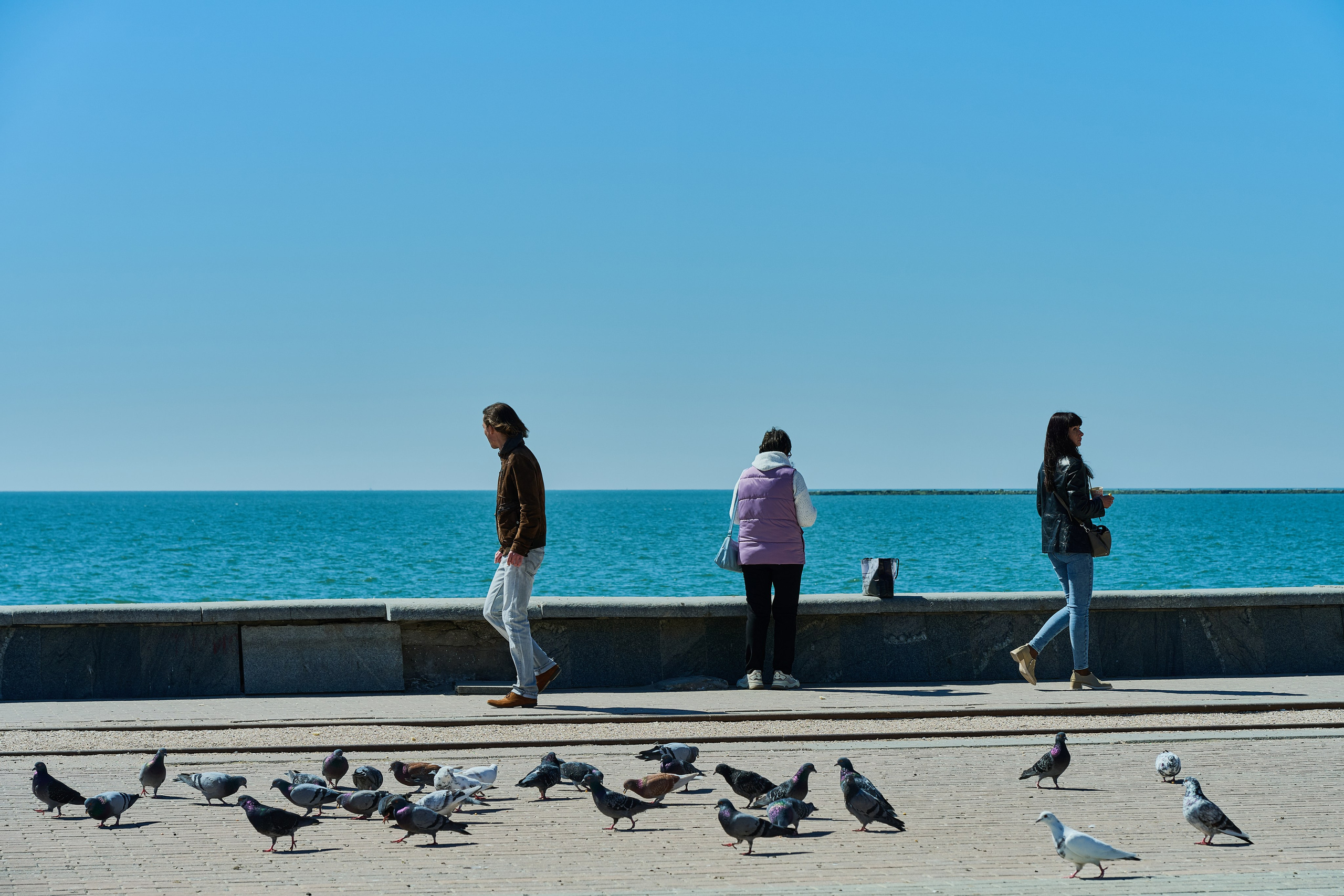 Бердянск. Апрель 2024. Фотограф Роман Адлер
