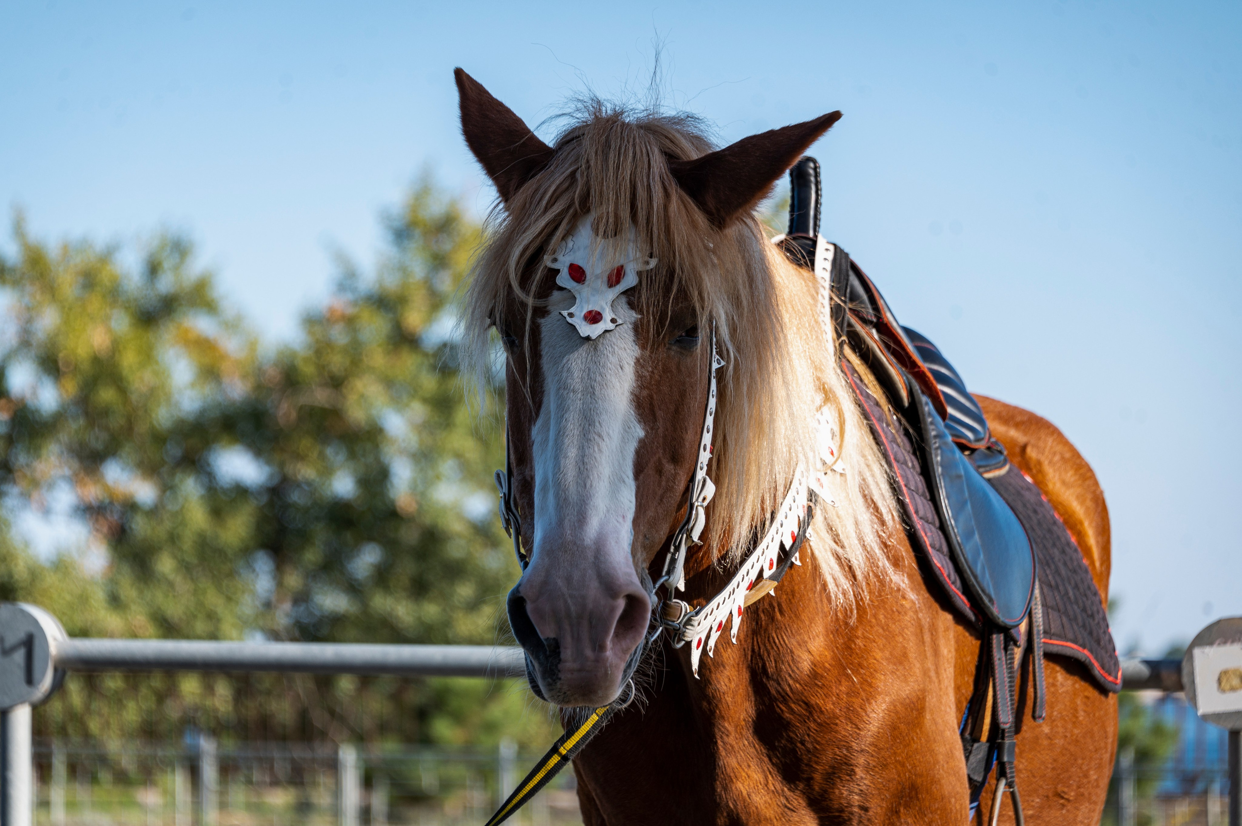 Волгоград. Сентябрь 2023. Фотограф Роман Адлер