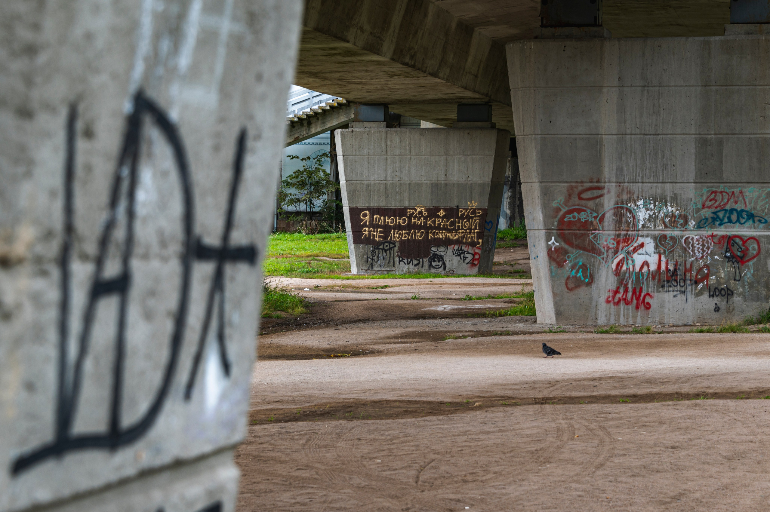 Псков. Октябрь 2023. Фотограф Роман Адлер