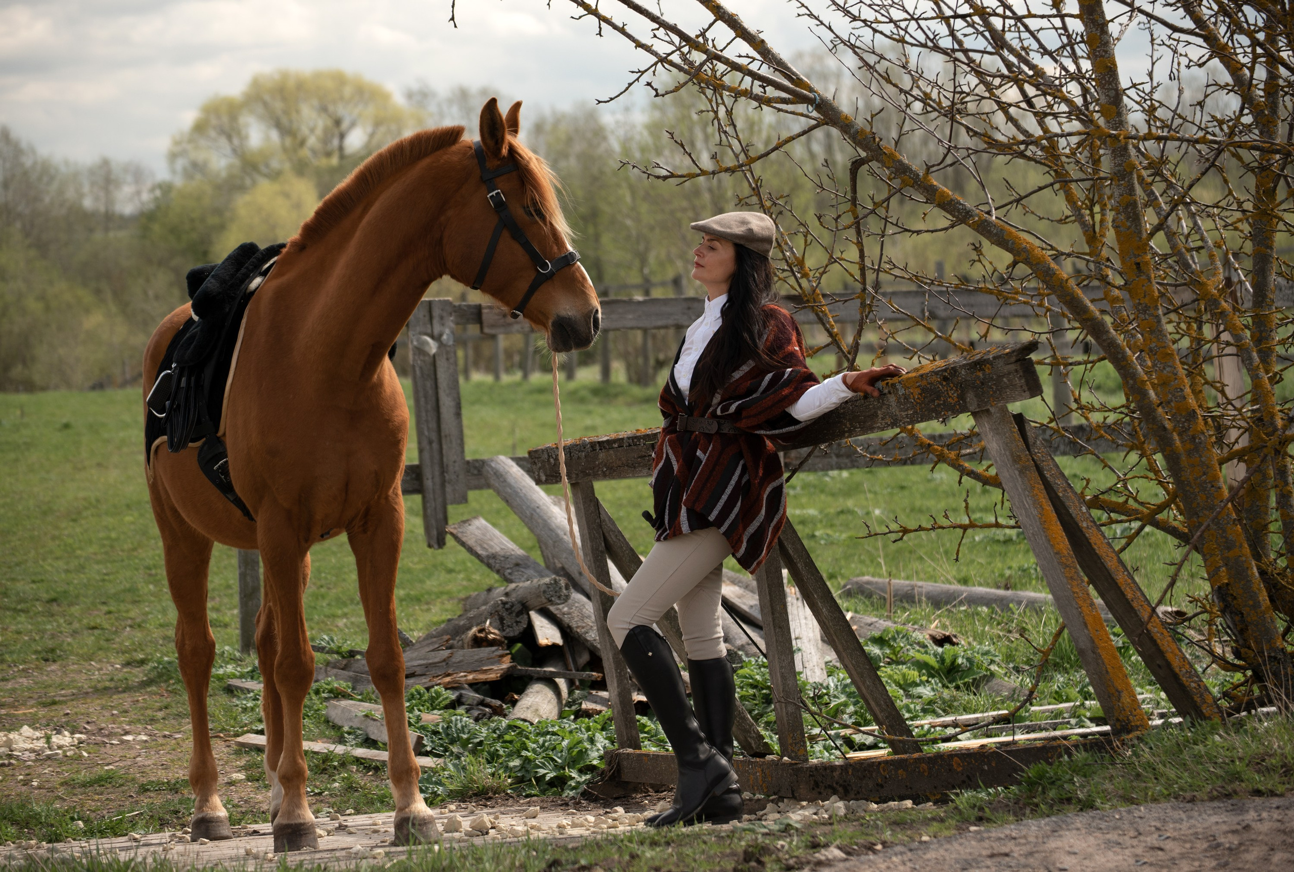 Портрет, лошадь, фото с лошадью, фото лошади, фотография лошади, съемка лошадей, фотограф лошадей, конная фотография, конный фотограф, конный фотограф в спб, съемки с лошадьми, фотограф спб, фотосессия с лошадьми,  лето, летняя фотосессия,  фото с лошадью,  фотосессии с лошадьми спб, фотосессия в поле