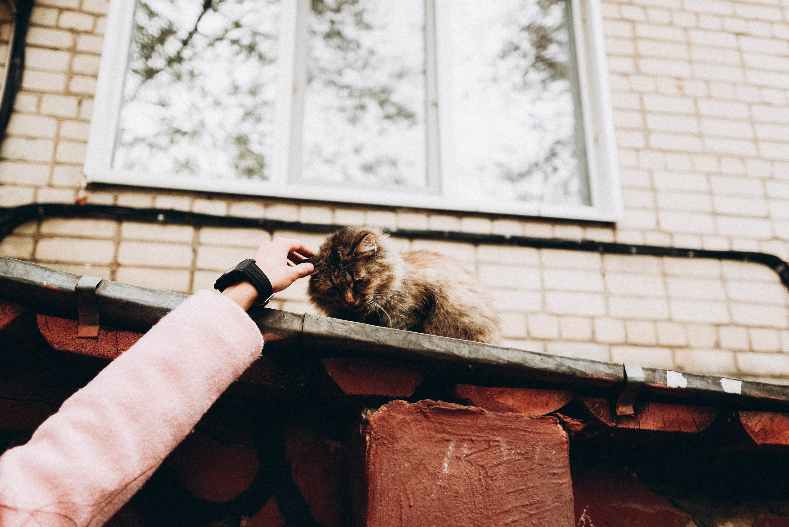 Лина Тим. Фотограф Милка Татьяна