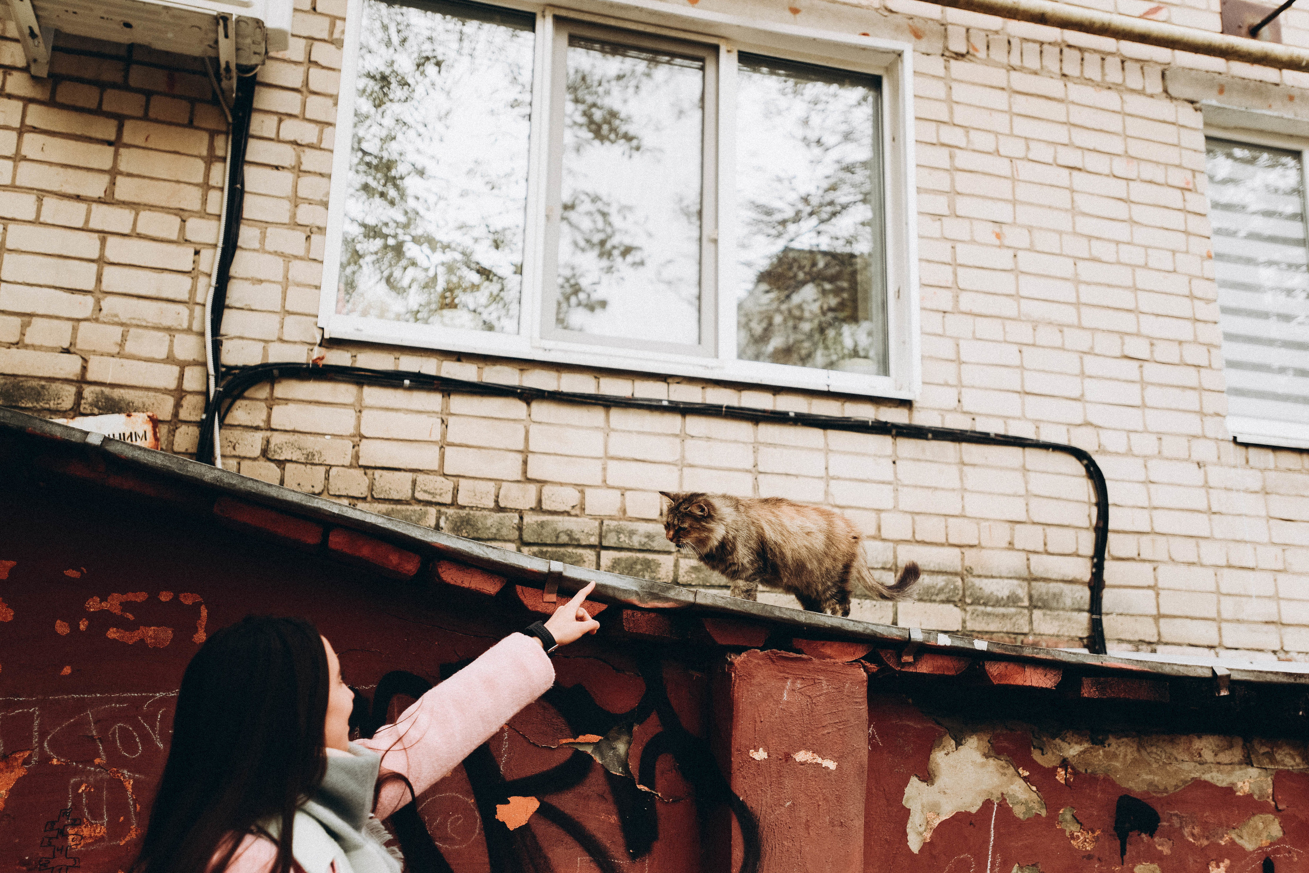 Лина Тим. Фотограф Милка Татьяна