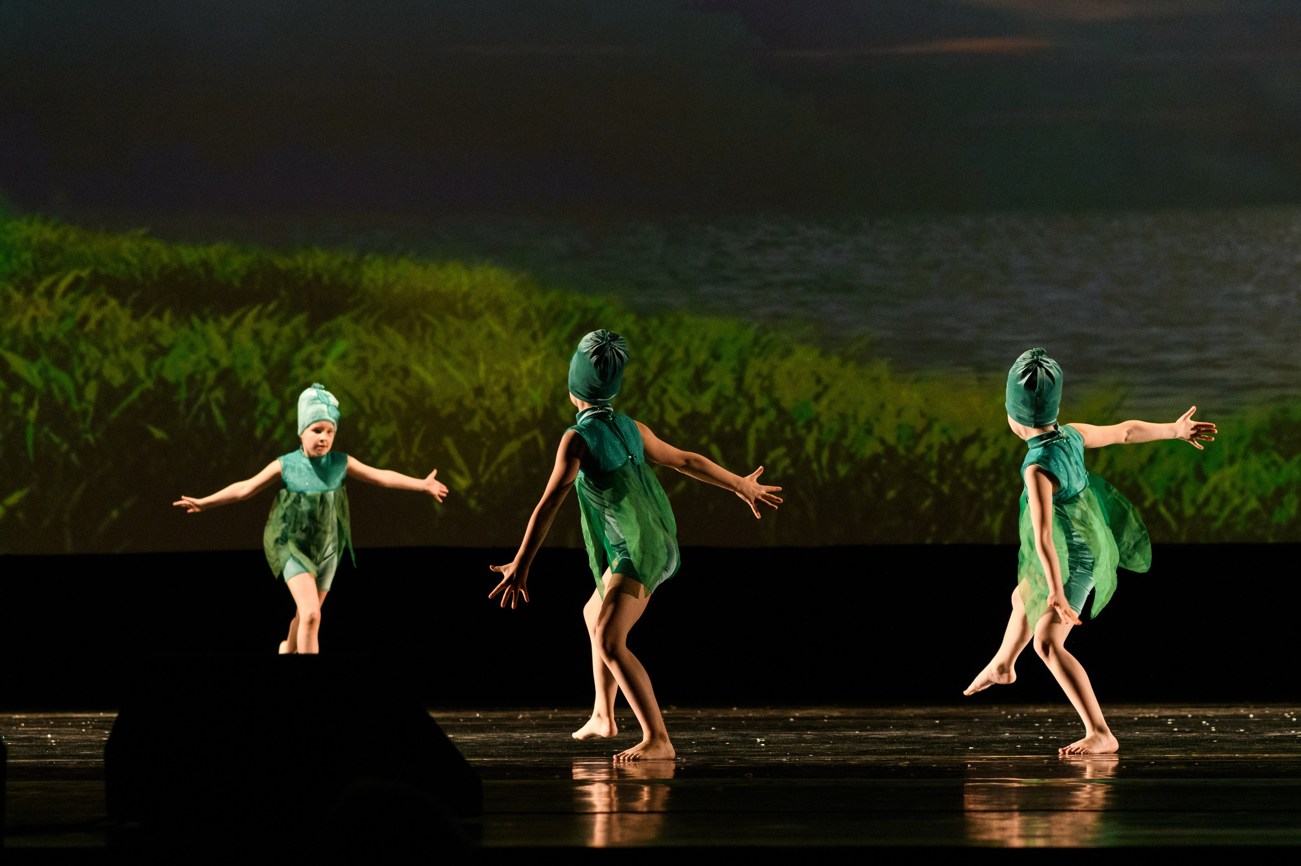 23 апреля, часть 2, БКЗ Октябрьский, г. Санкт-Петербург. Золотое яблочко