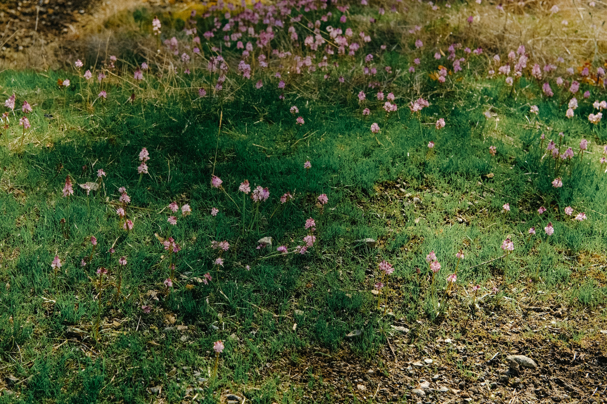 Lycian Way: Turkey. Обо мне