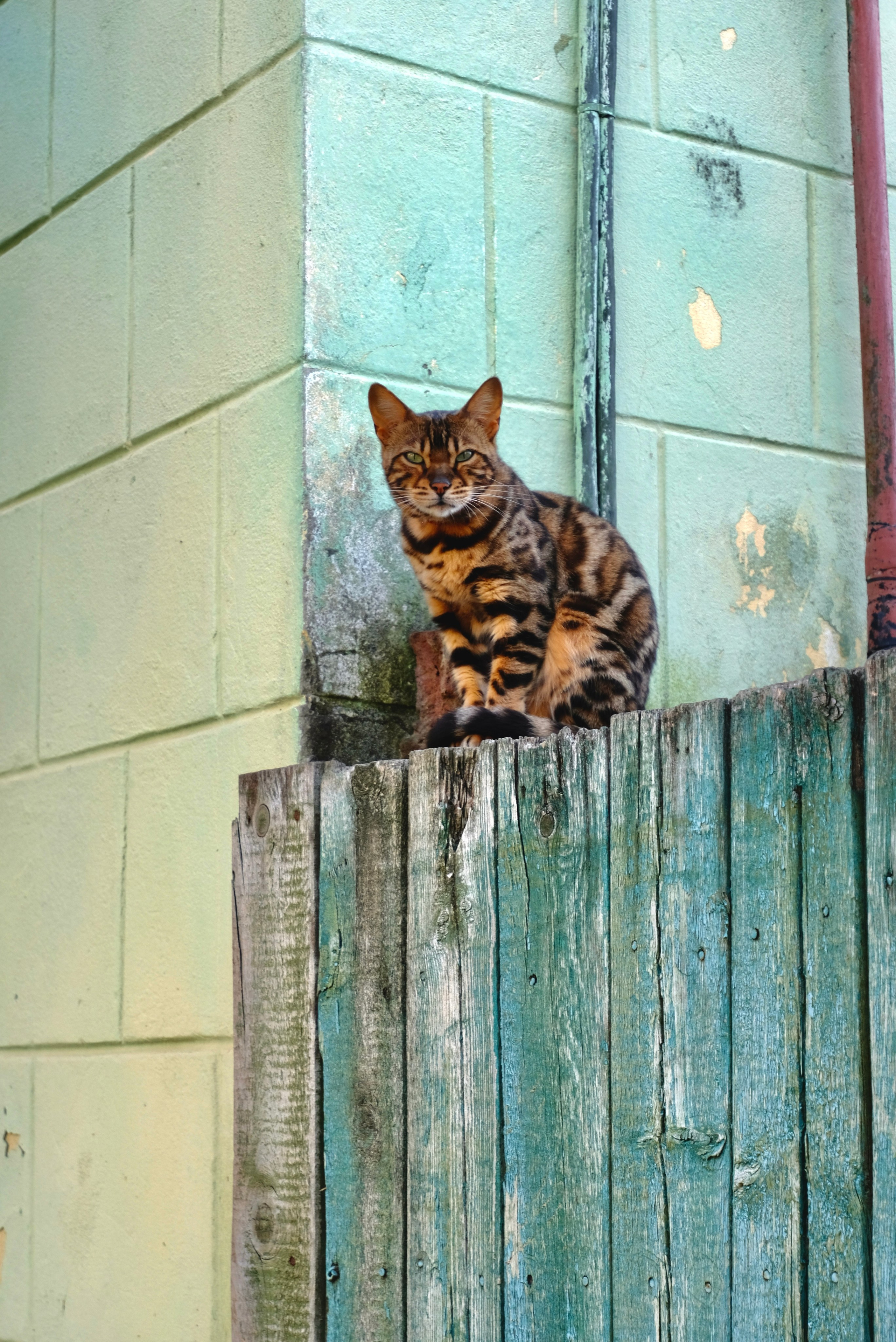 Torzhok Russia. Интерьерный архитектурный фотограф | interior architectural photographer