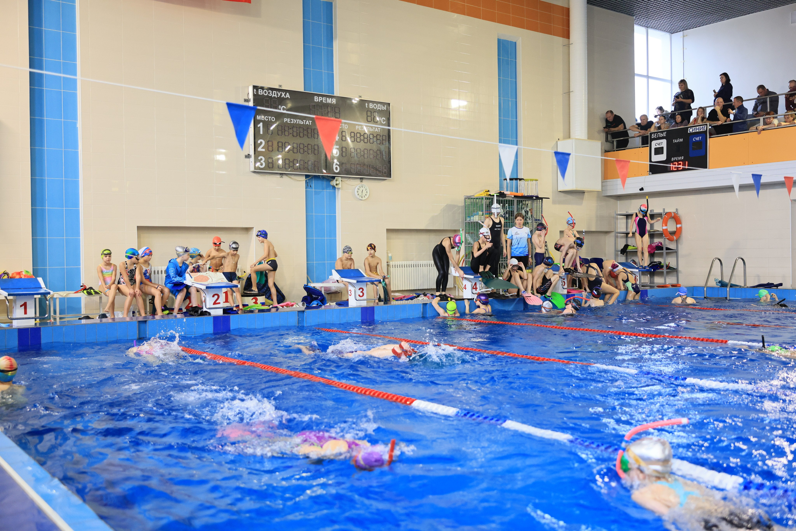 Плавание в ластах (разные годы, более 10 репортажей выборка пополняемая). Фотограф в Туле Крупский АнДРей. Фотостудия «КАДР71» в Туле