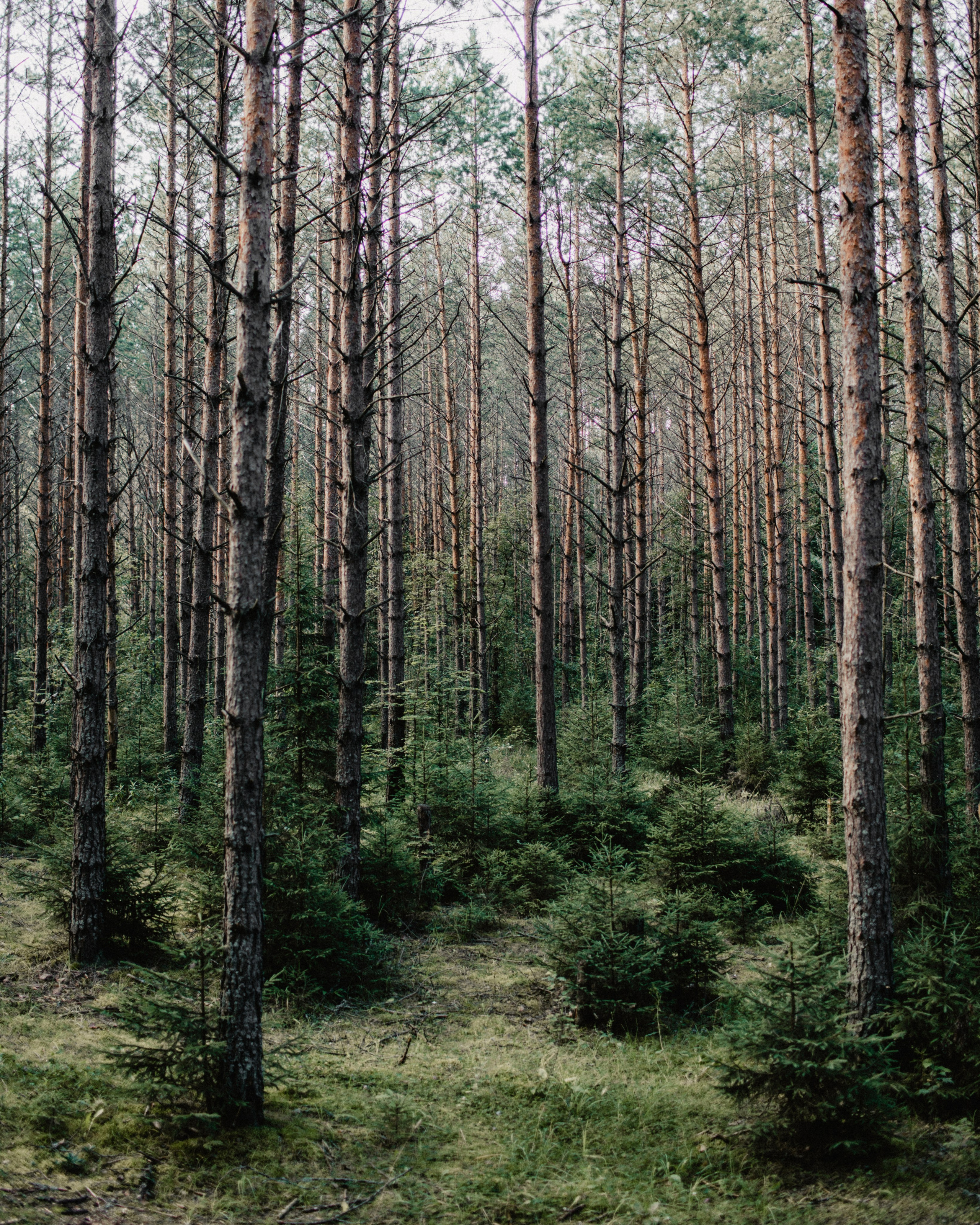 Портретный фотограф в Москве Анна Псарева