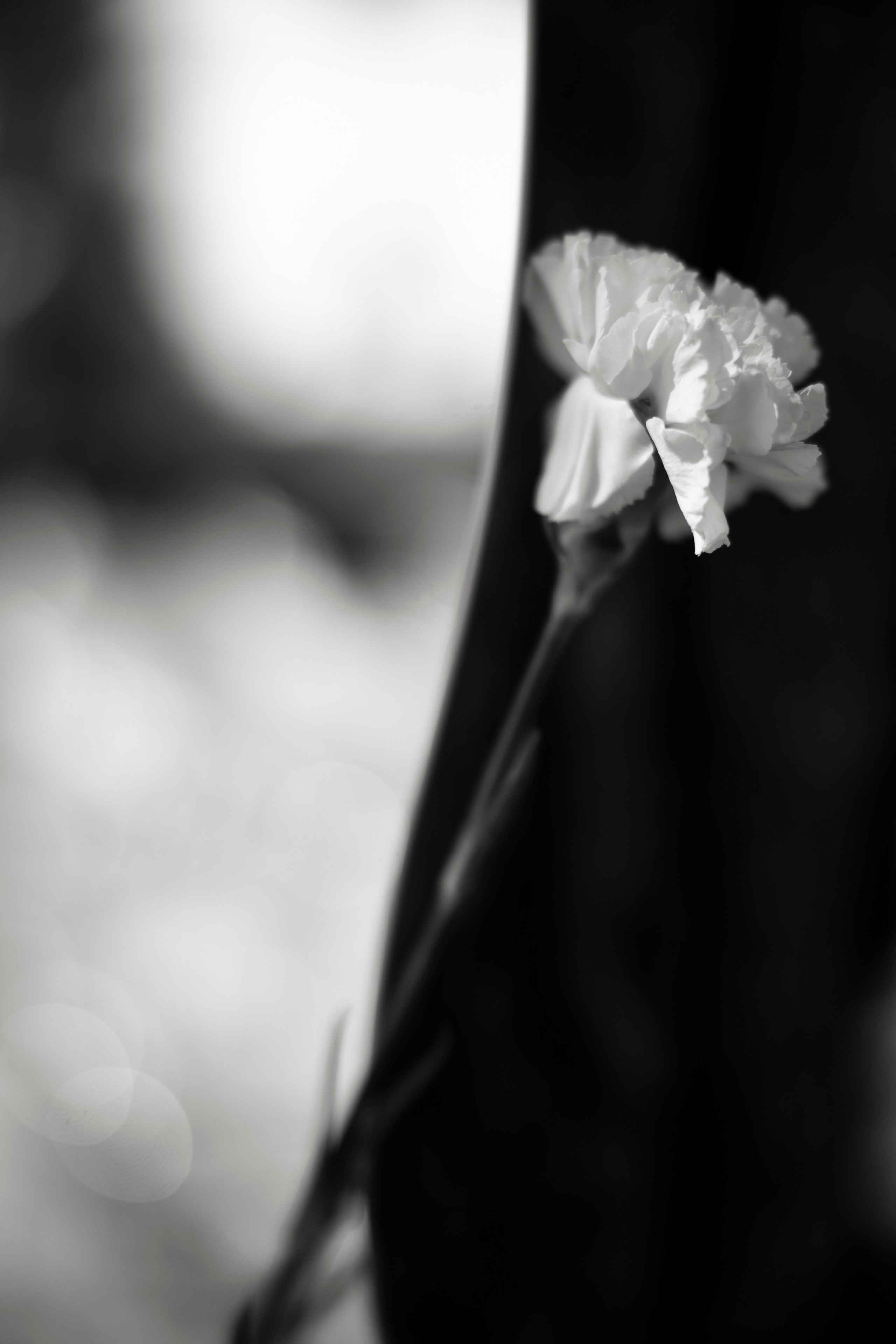 БОРИС И ВАЛЕРИЯ. Свадебный Фотограф Максим Пустовой