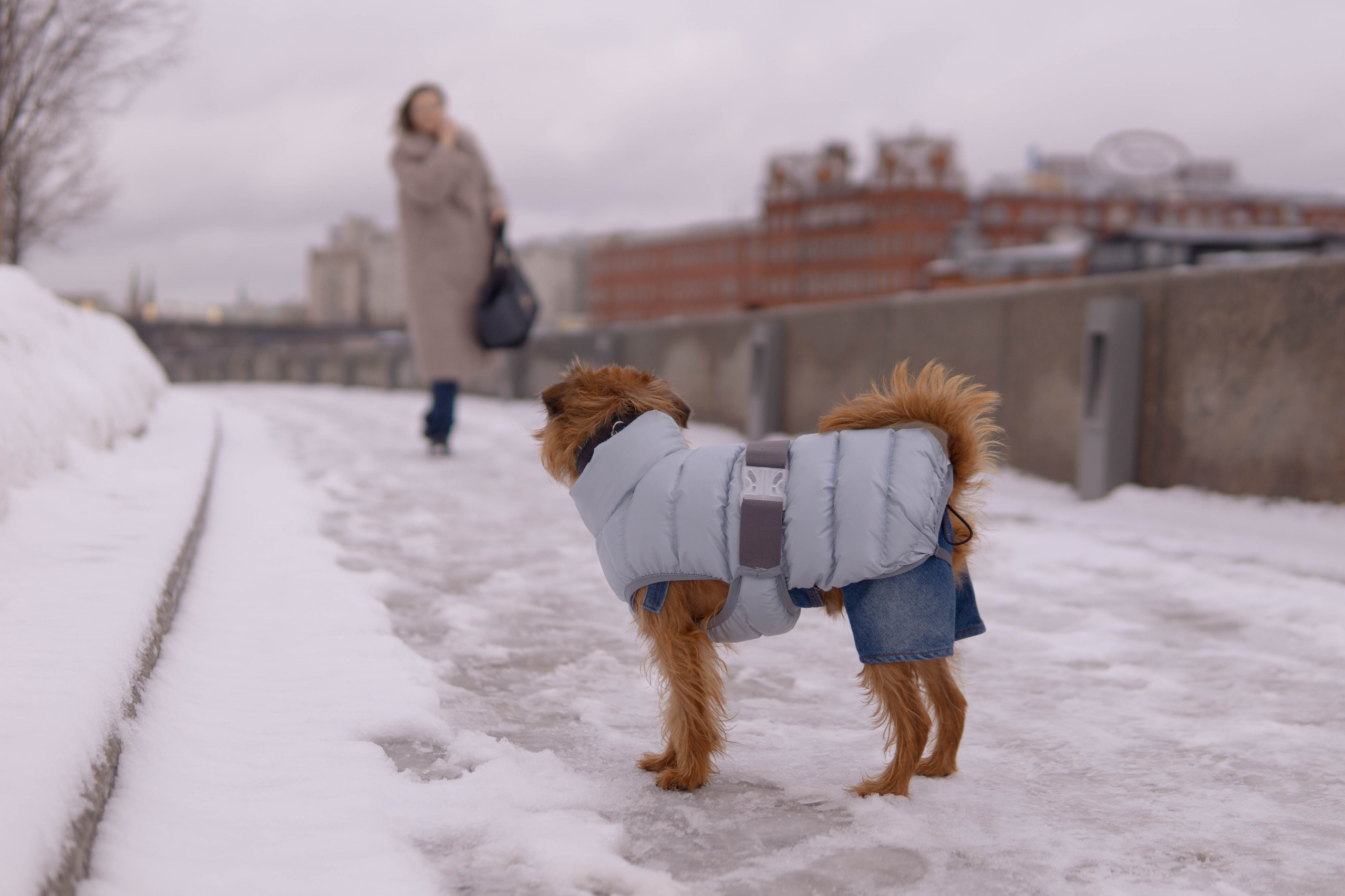 Наташа и Хавьер. Фотограф-анималист Ксения Воробьева, Москва