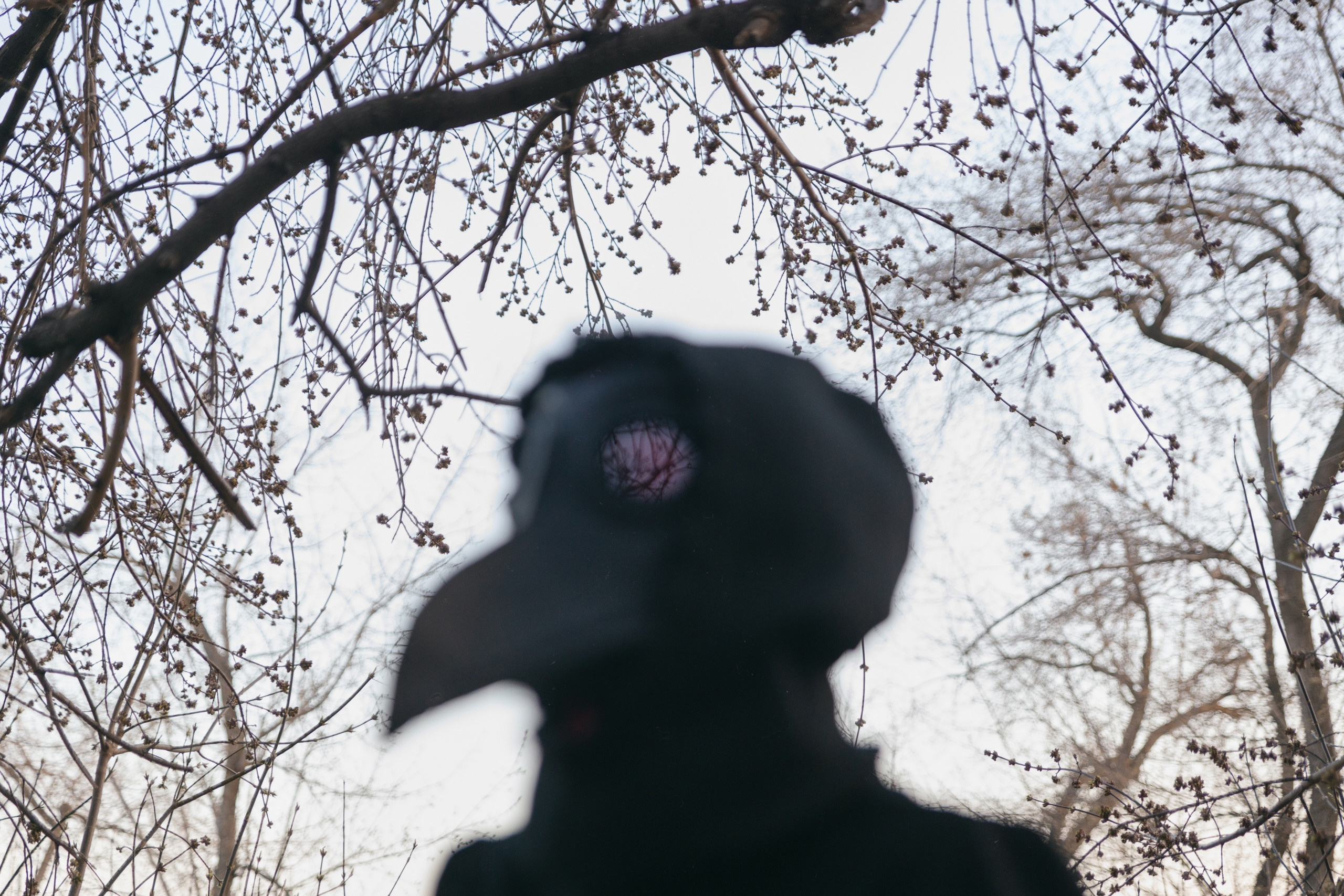 Арт. Антон Ив