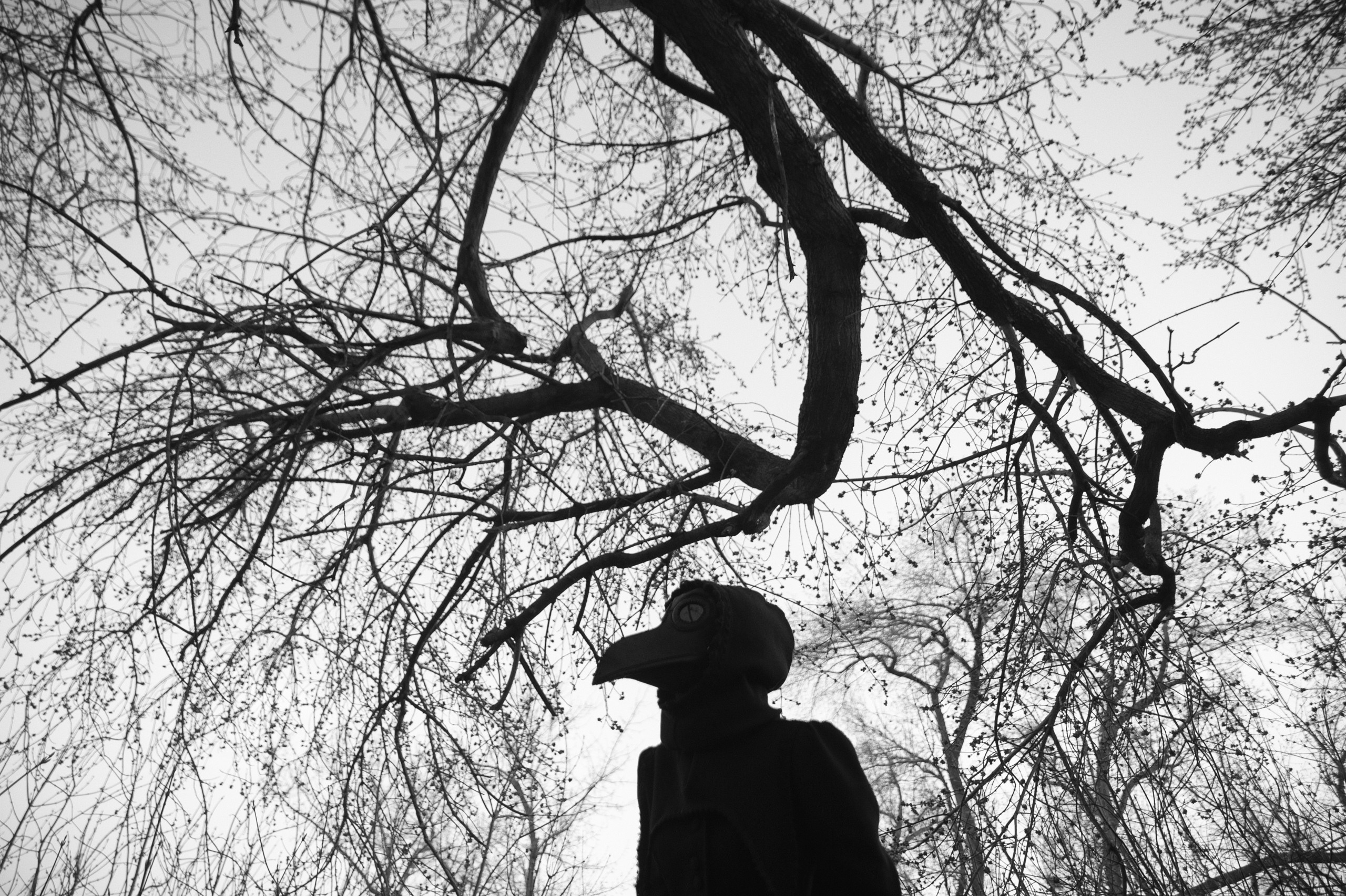 Арт. Антон Ив