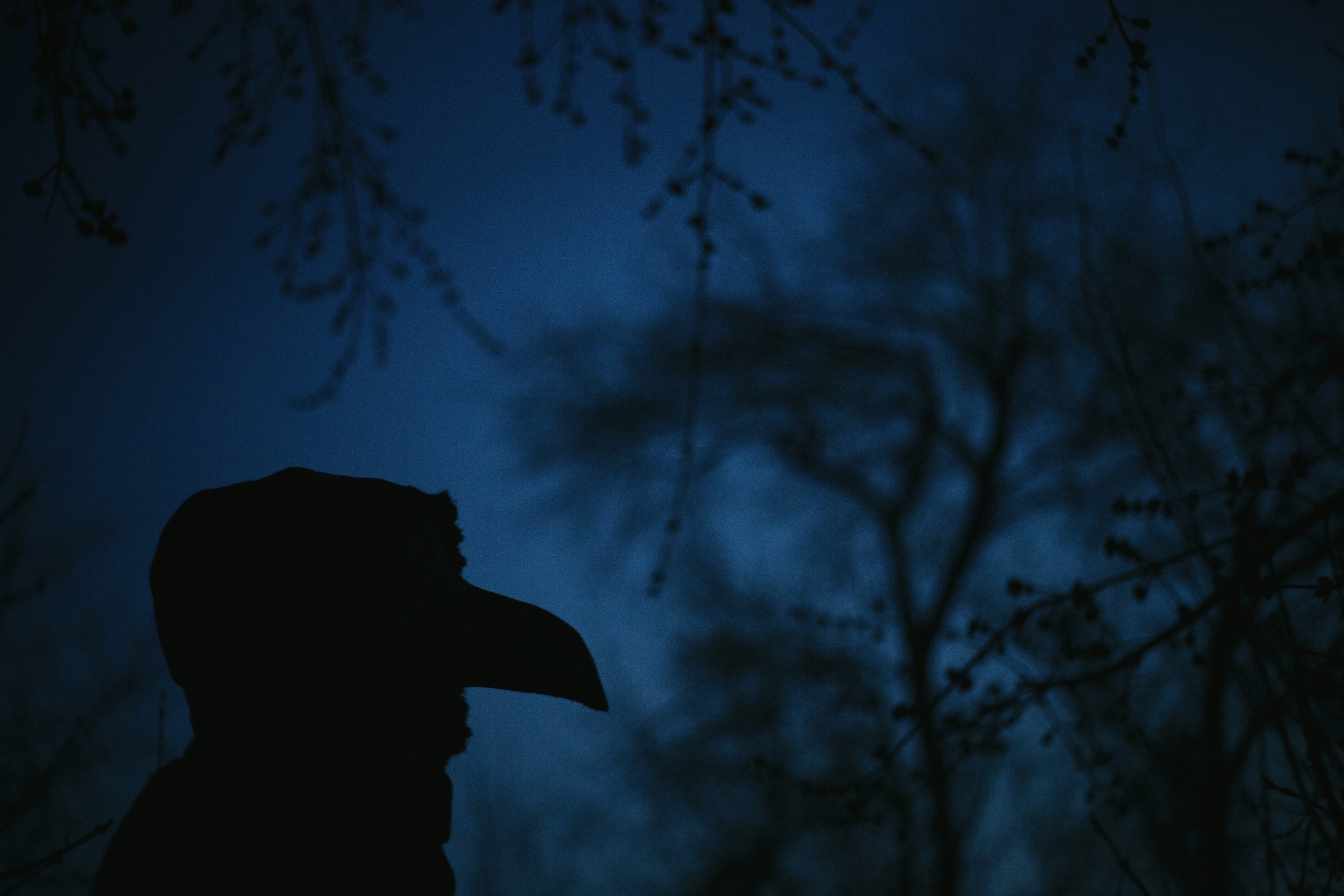 Арт. Антон Ив