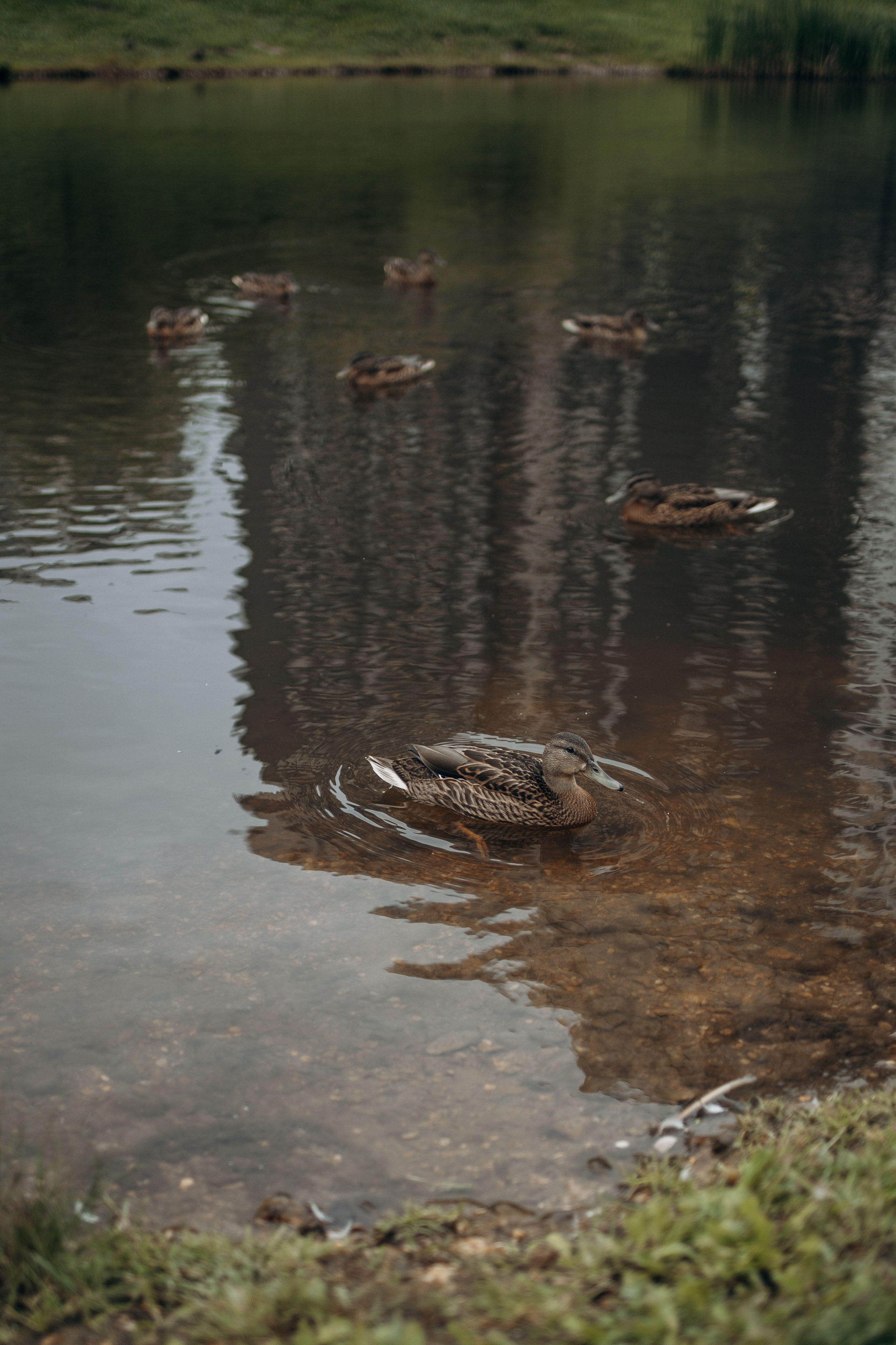 Семья Марины