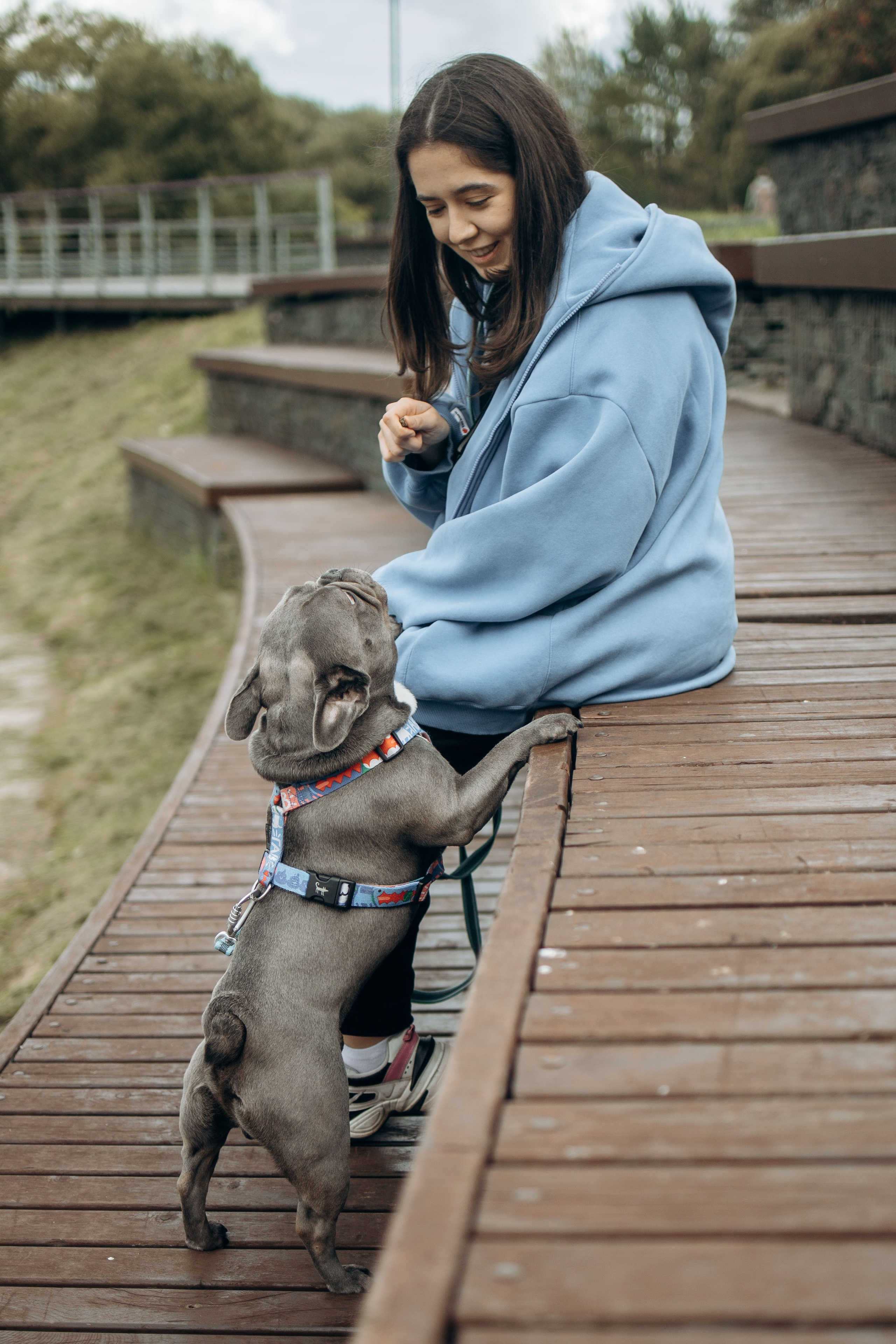 Грей и его семья