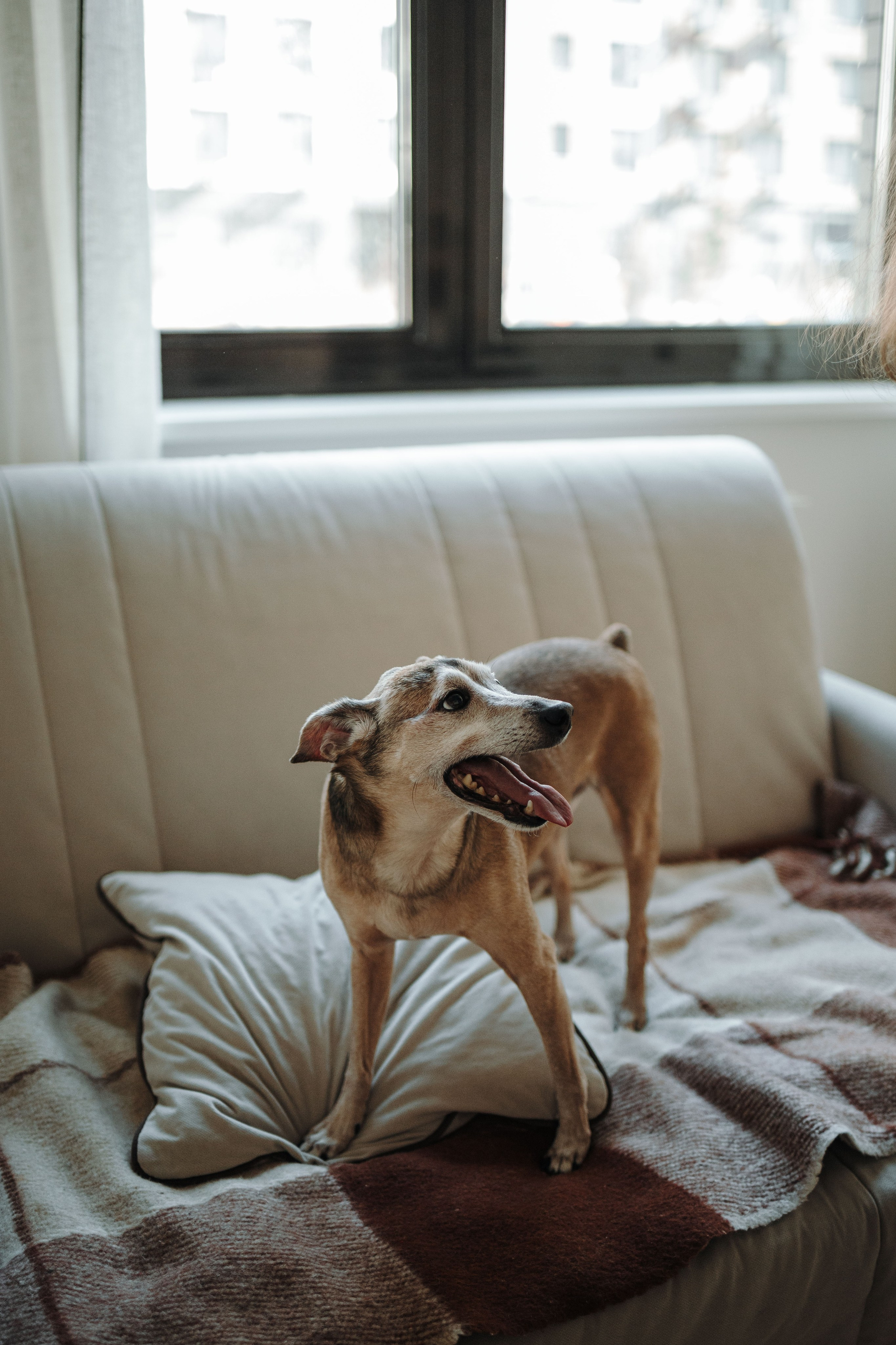 Николас и его семья